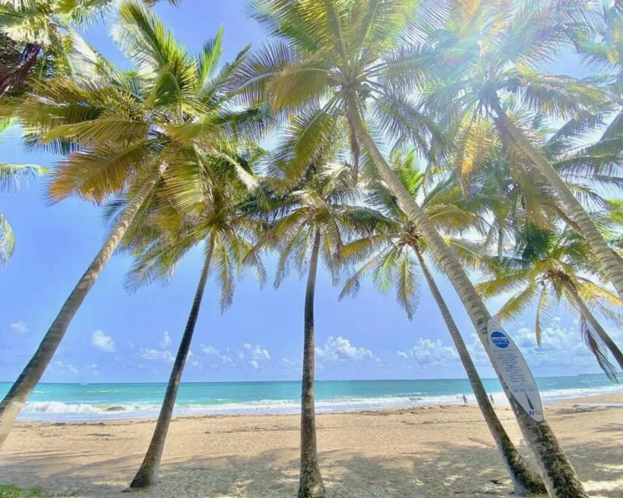 Beach in KASA Terrace Studio Breathtaking Ocean Views