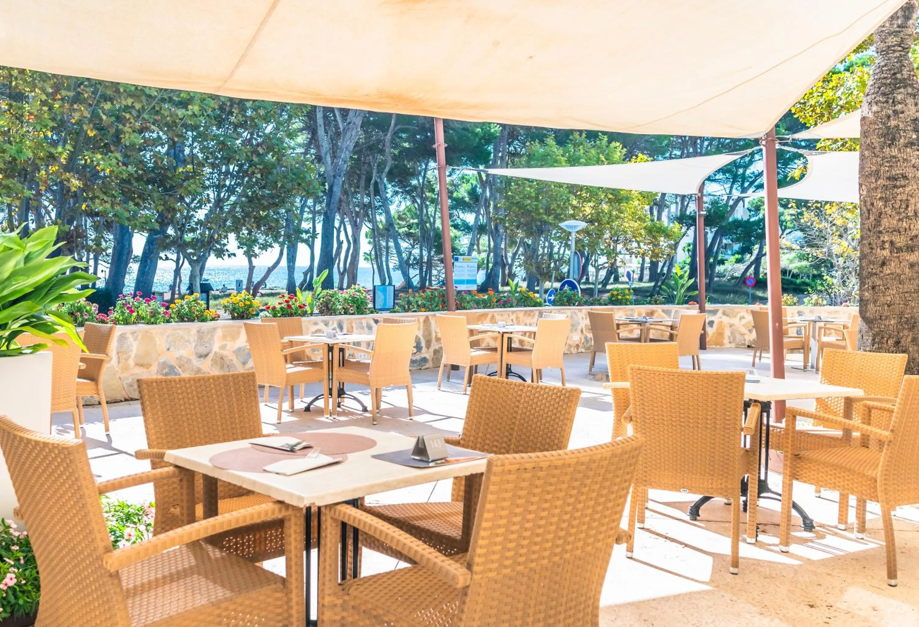 Balcony/Terrace in Canyamel Park Hotel & Spa - 4* Sup - Adults only (+16)