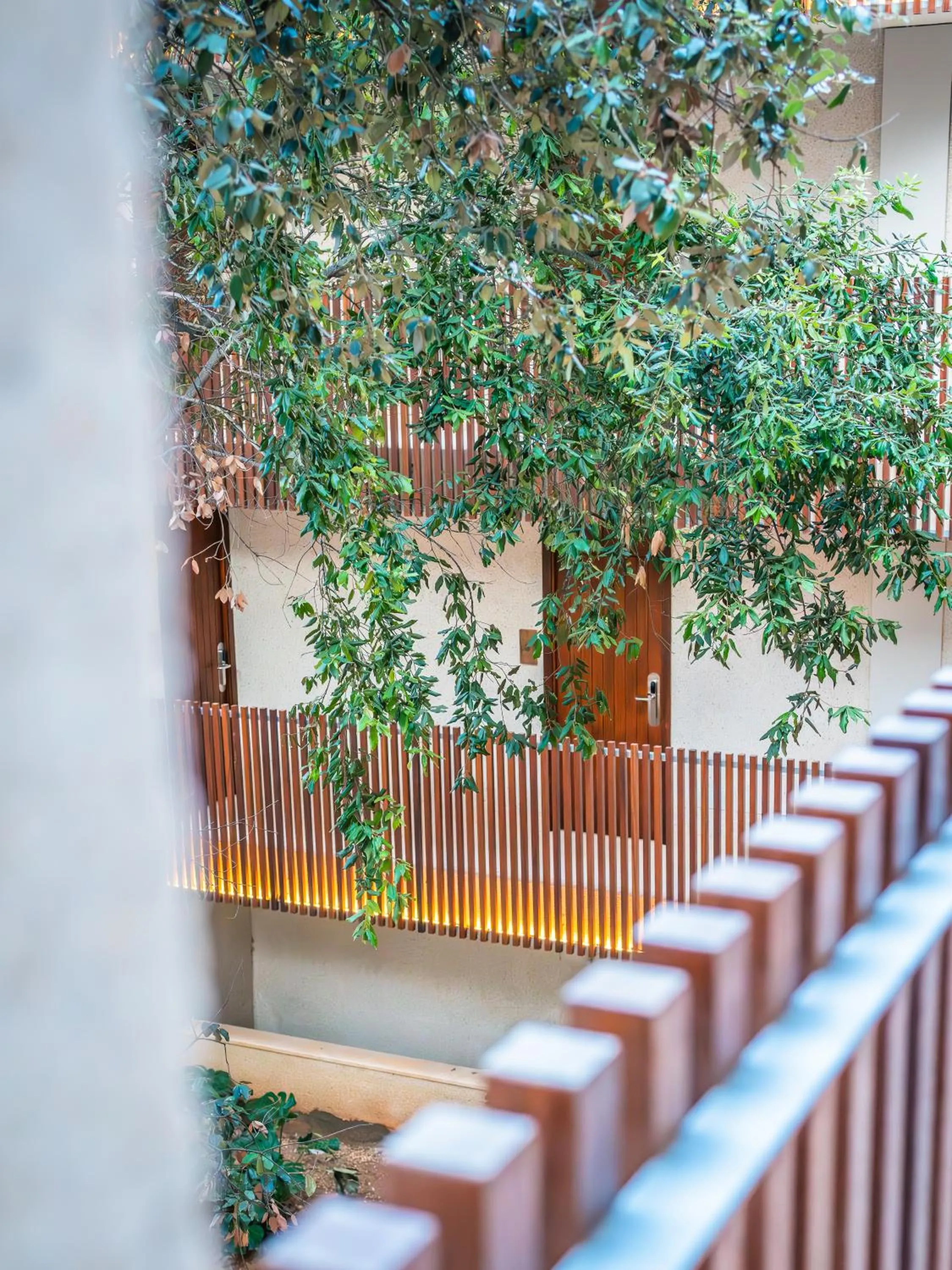 Property building in Canyamel Park Hotel & Spa - 4* Sup - Adults only (+16)