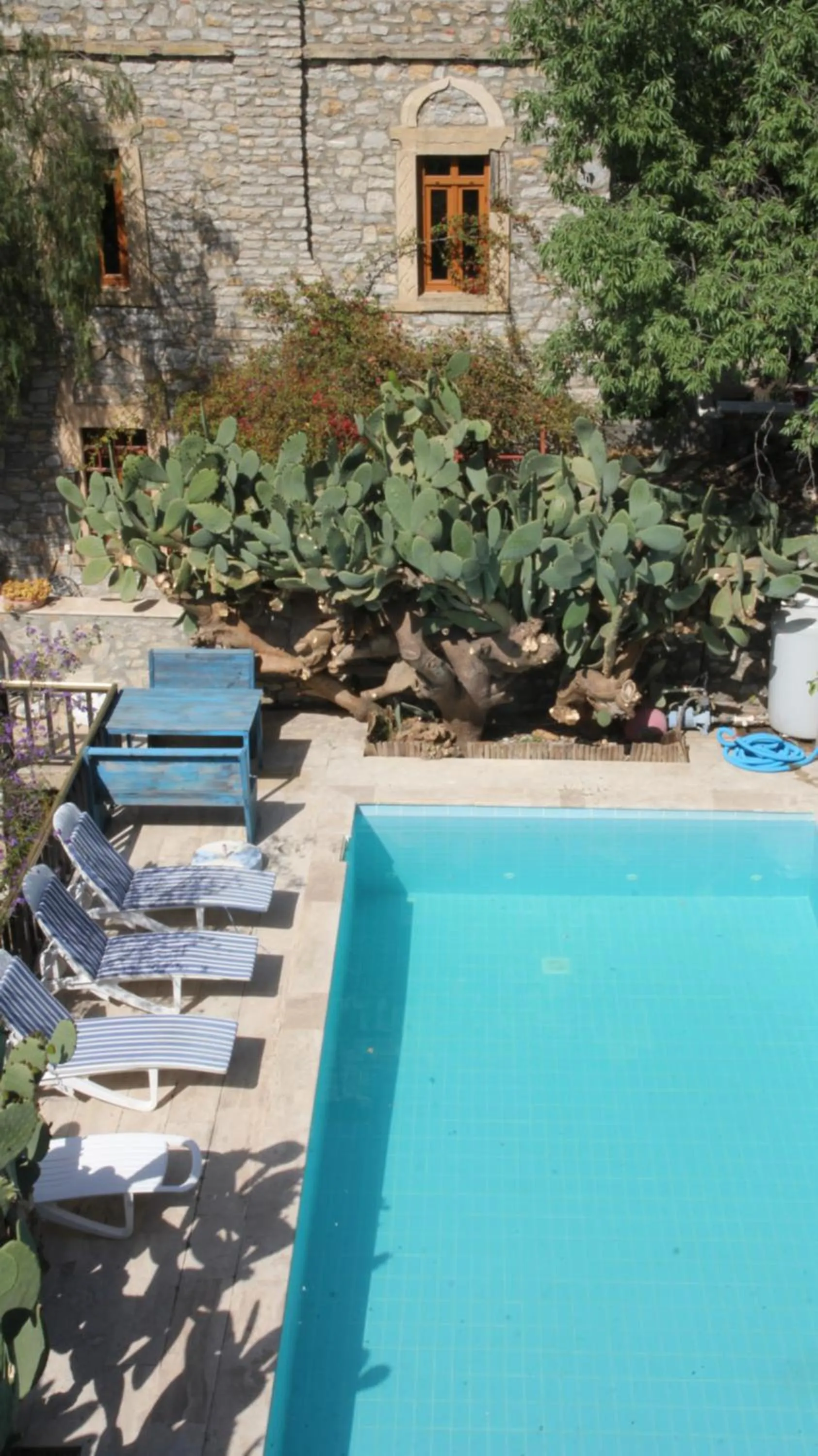 Day in Eski Datça Pansiyon