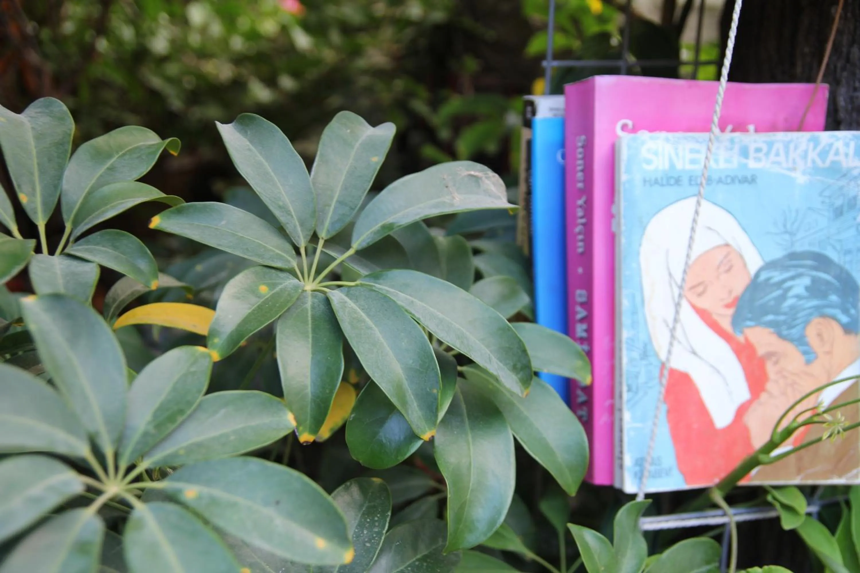 Decorative detail in Eski Datça Pansiyon