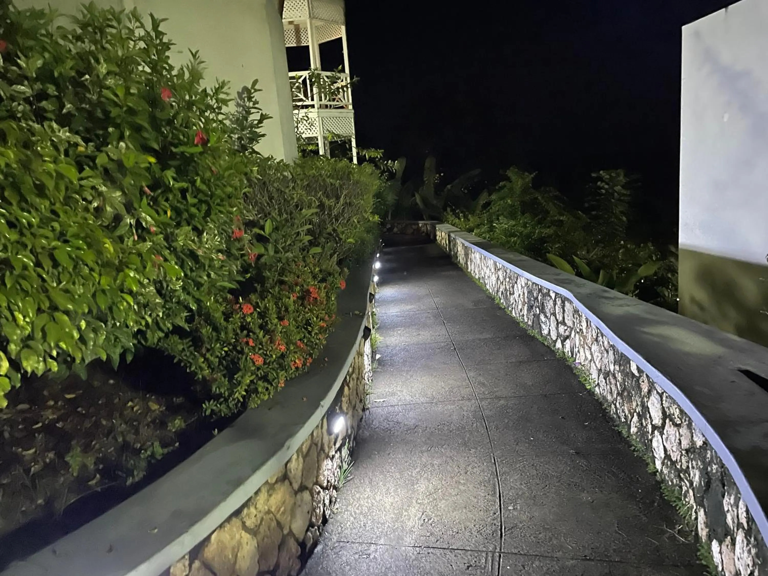 Night in Hummingbird Retreat - Luxury Oceanview Apt, 7-Minute Walk to Beach