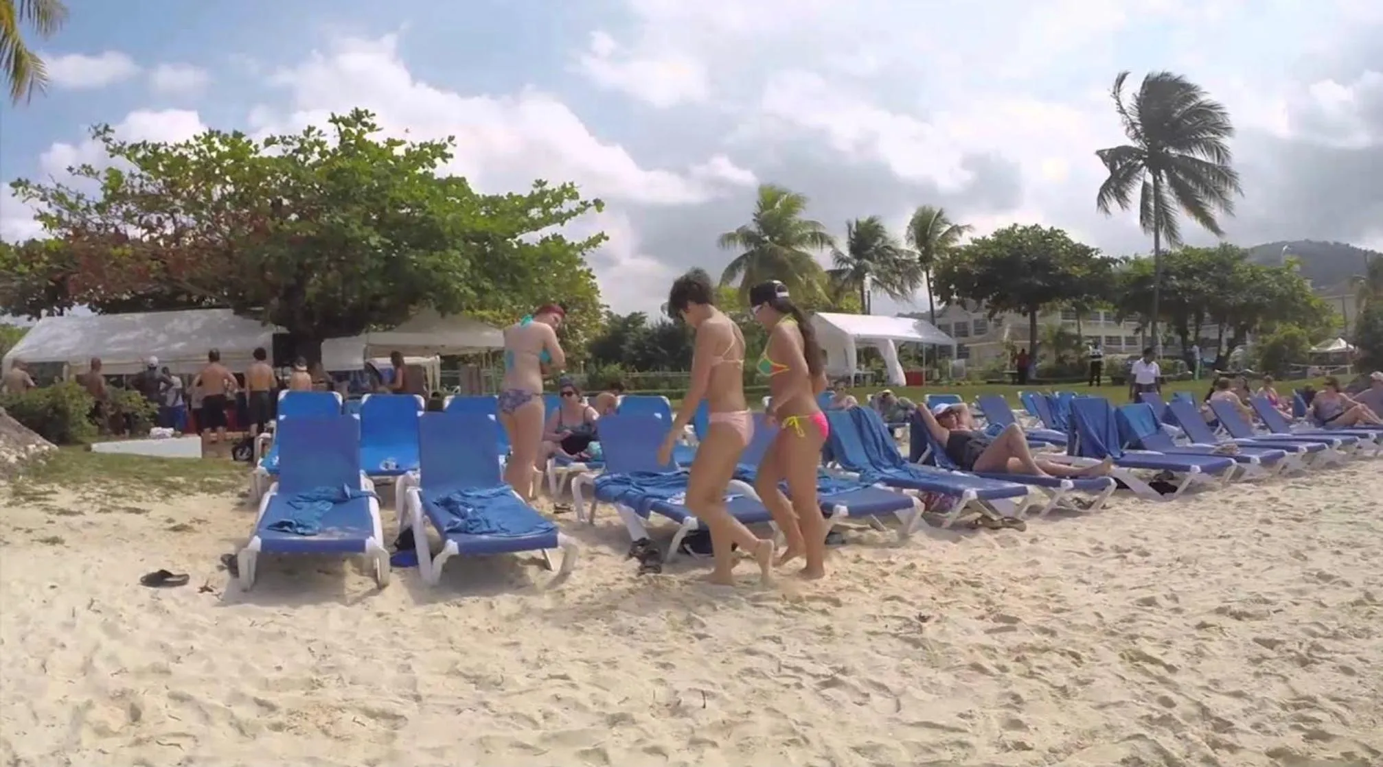 People in Hummingbird Retreat - Luxury Oceanview Apt, 7-Minute Walk to Beach