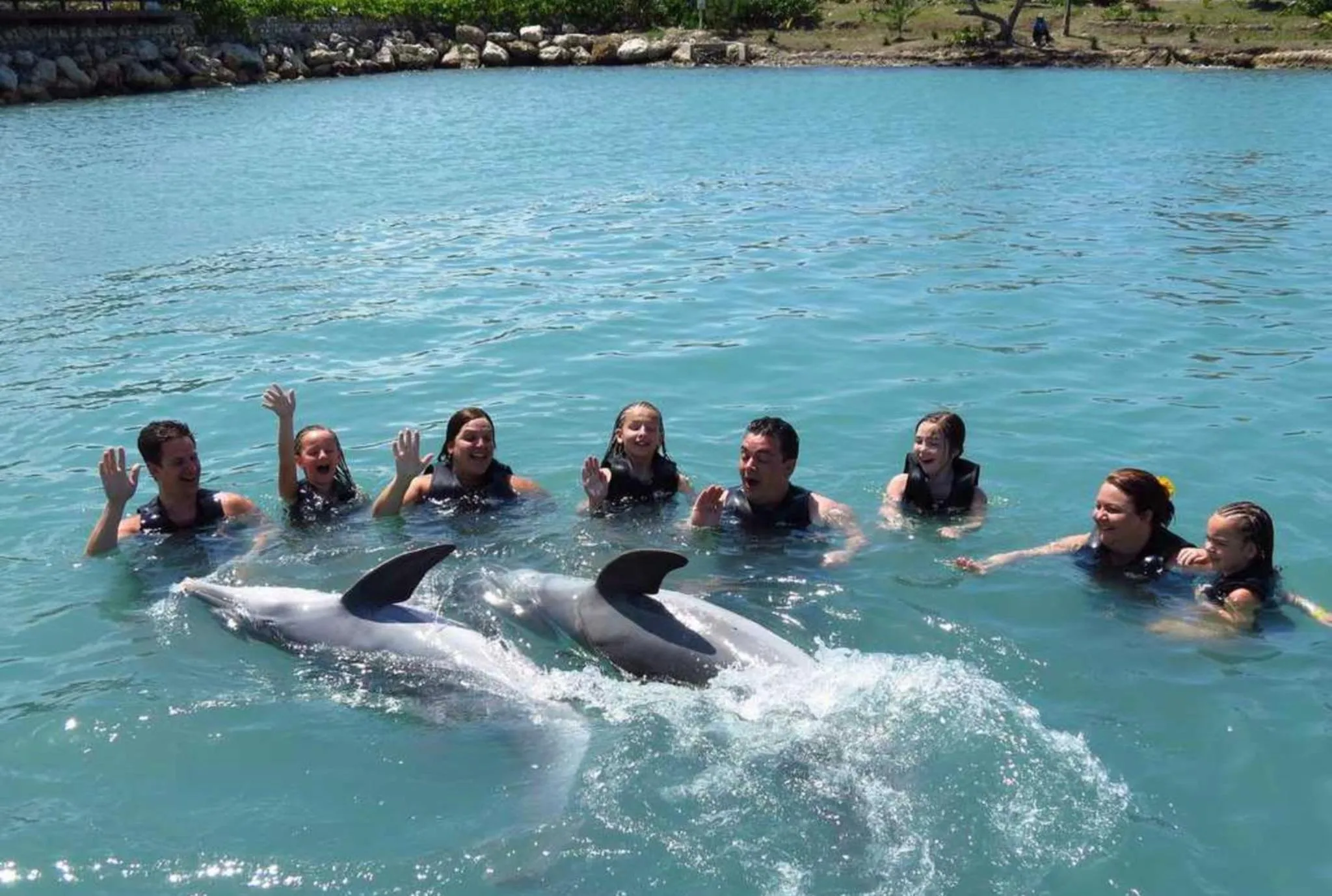 Natural landscape in Hummingbird Retreat - Luxury Oceanview Apt, 7-Minute Walk to Beach