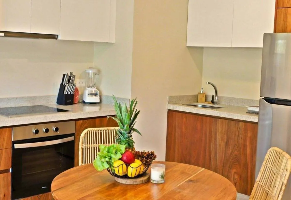 Kitchen or kitchenette in Apartamento LX con Vista a la Jungla