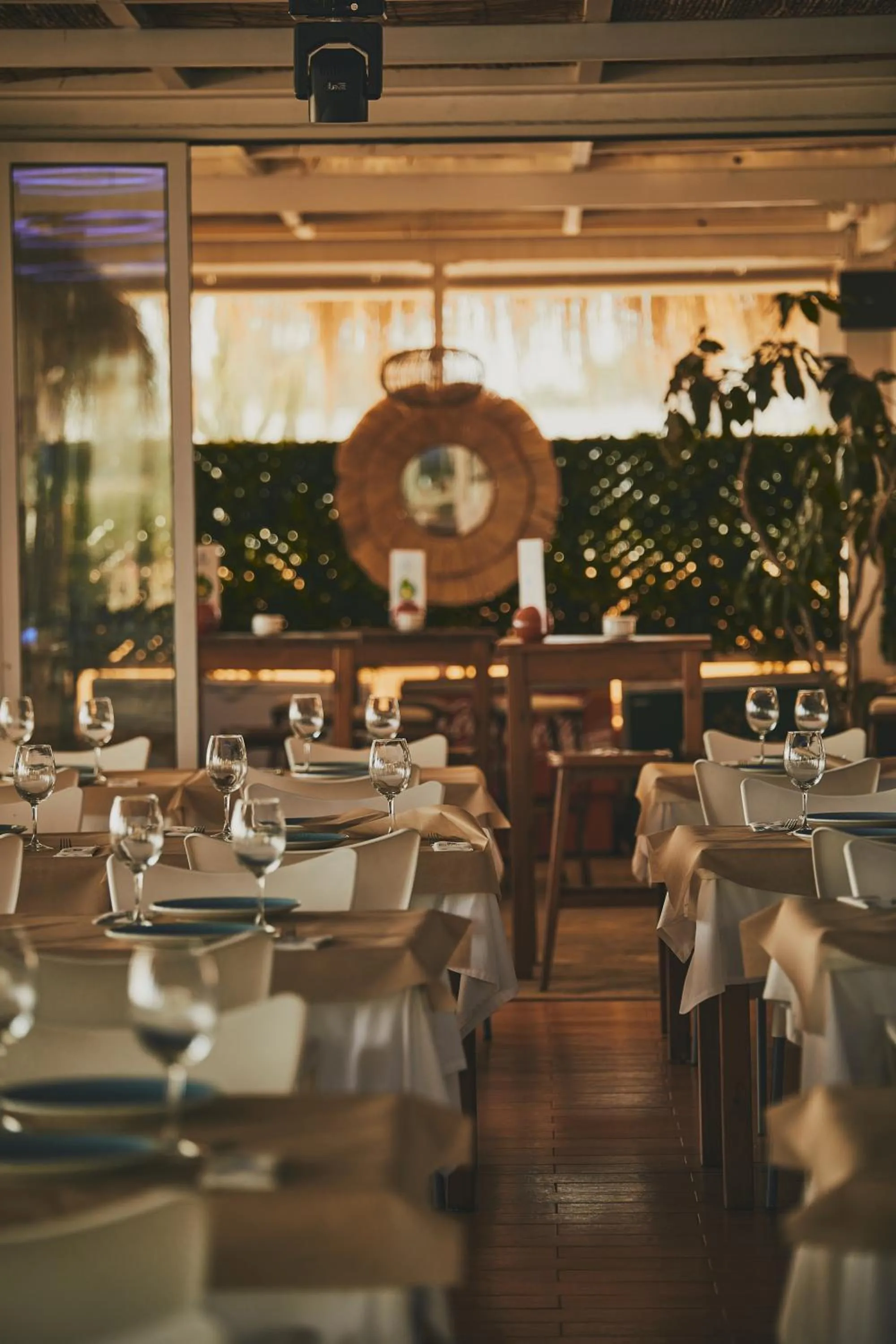 Restaurant/places to eat in Hotel Playa Bocaina