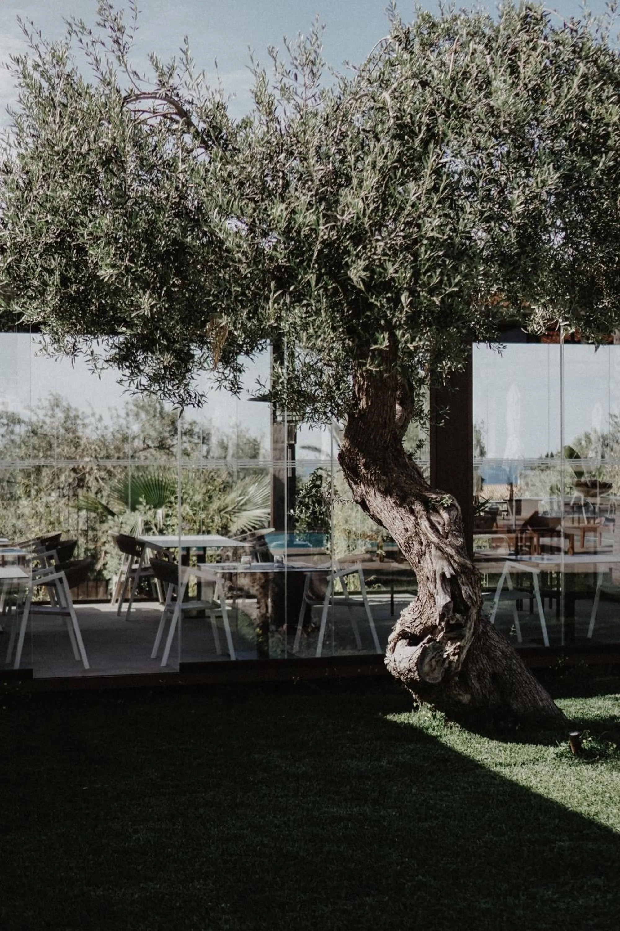 Restaurant/places to eat in Insulae Resort