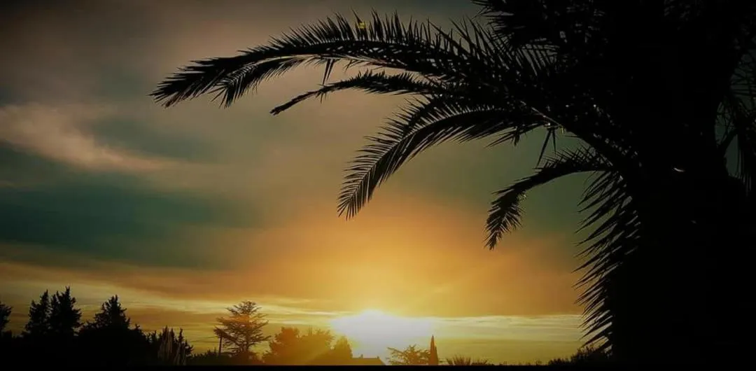 Garden view in Appartement Carpe diem