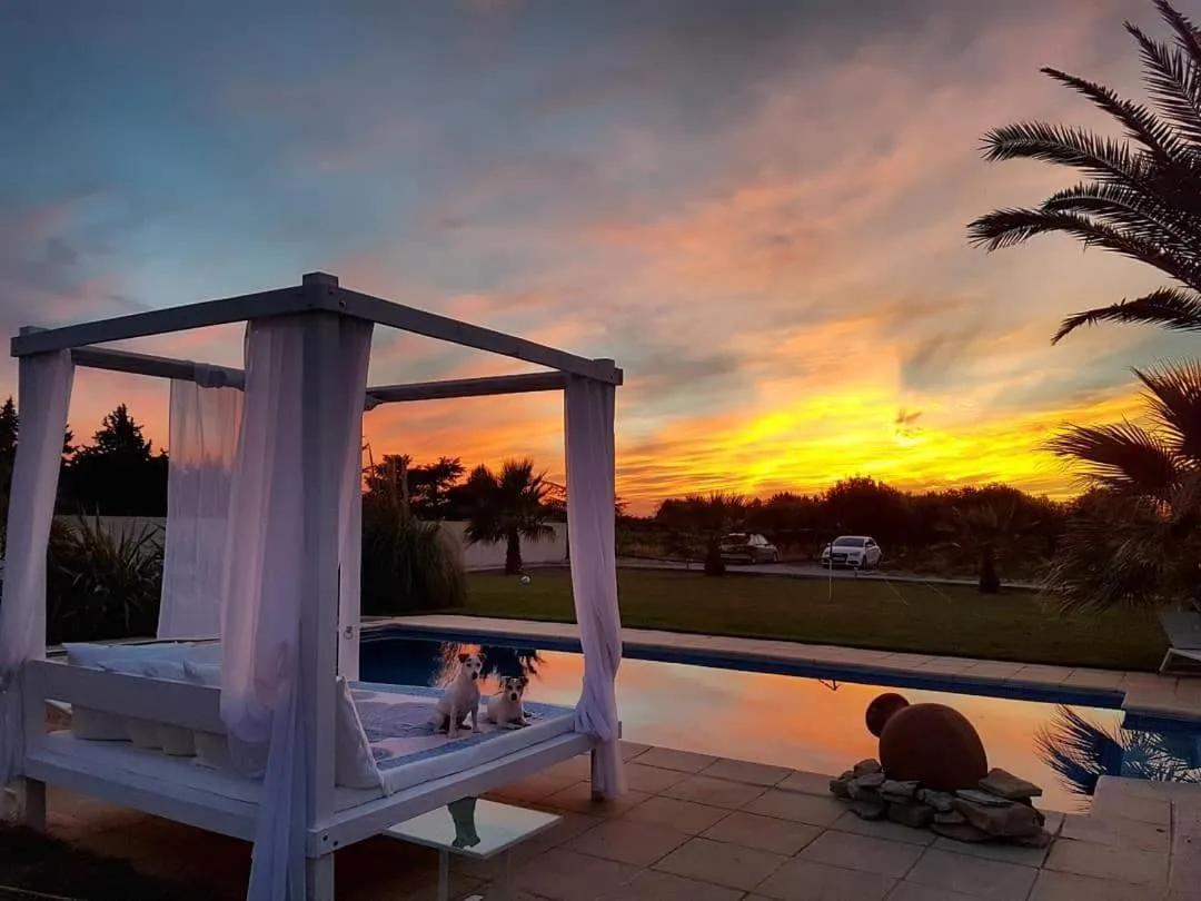 Swimming pool in Appartement Carpe diem