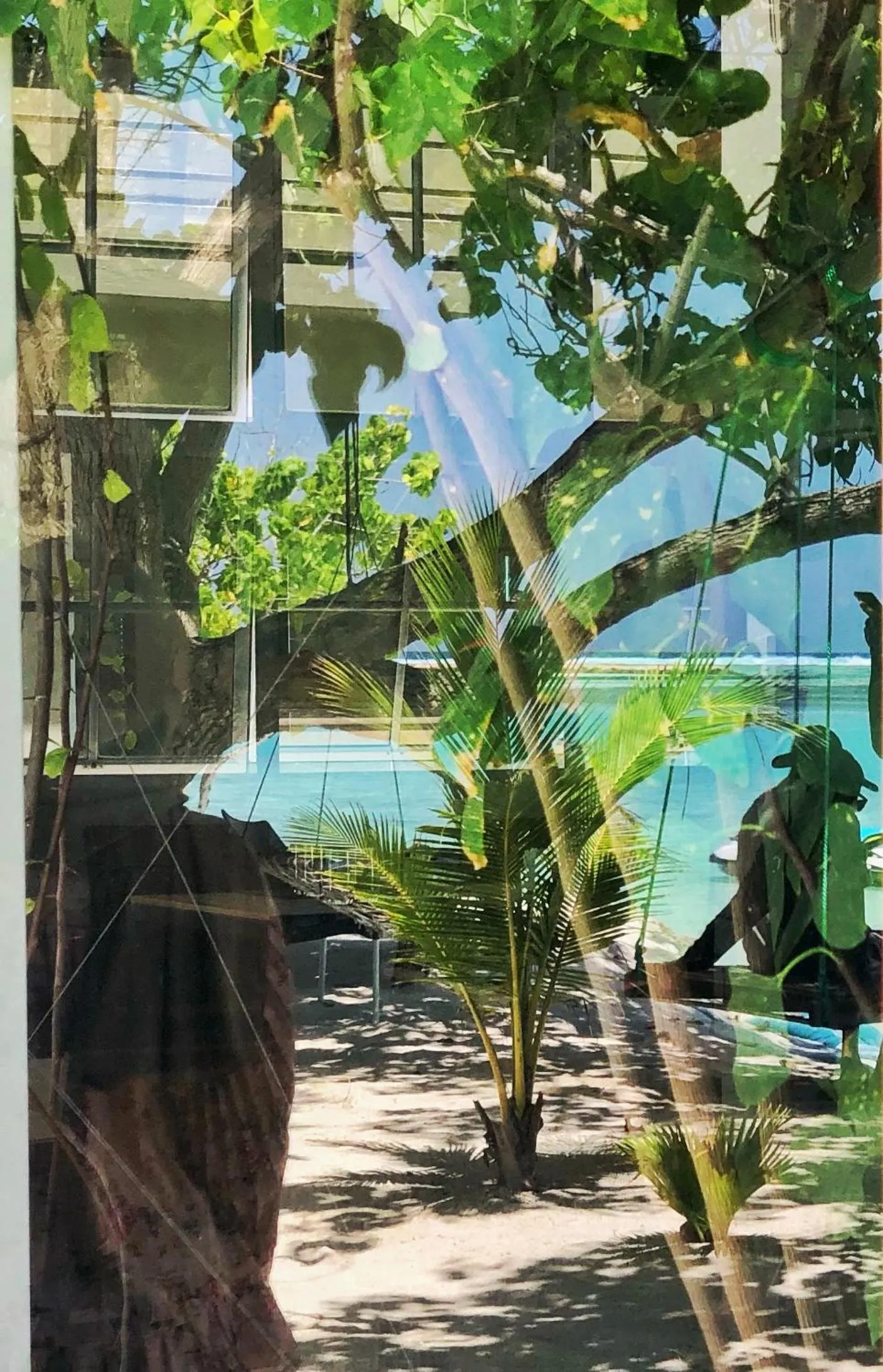 Garden in TravelRim Maldives