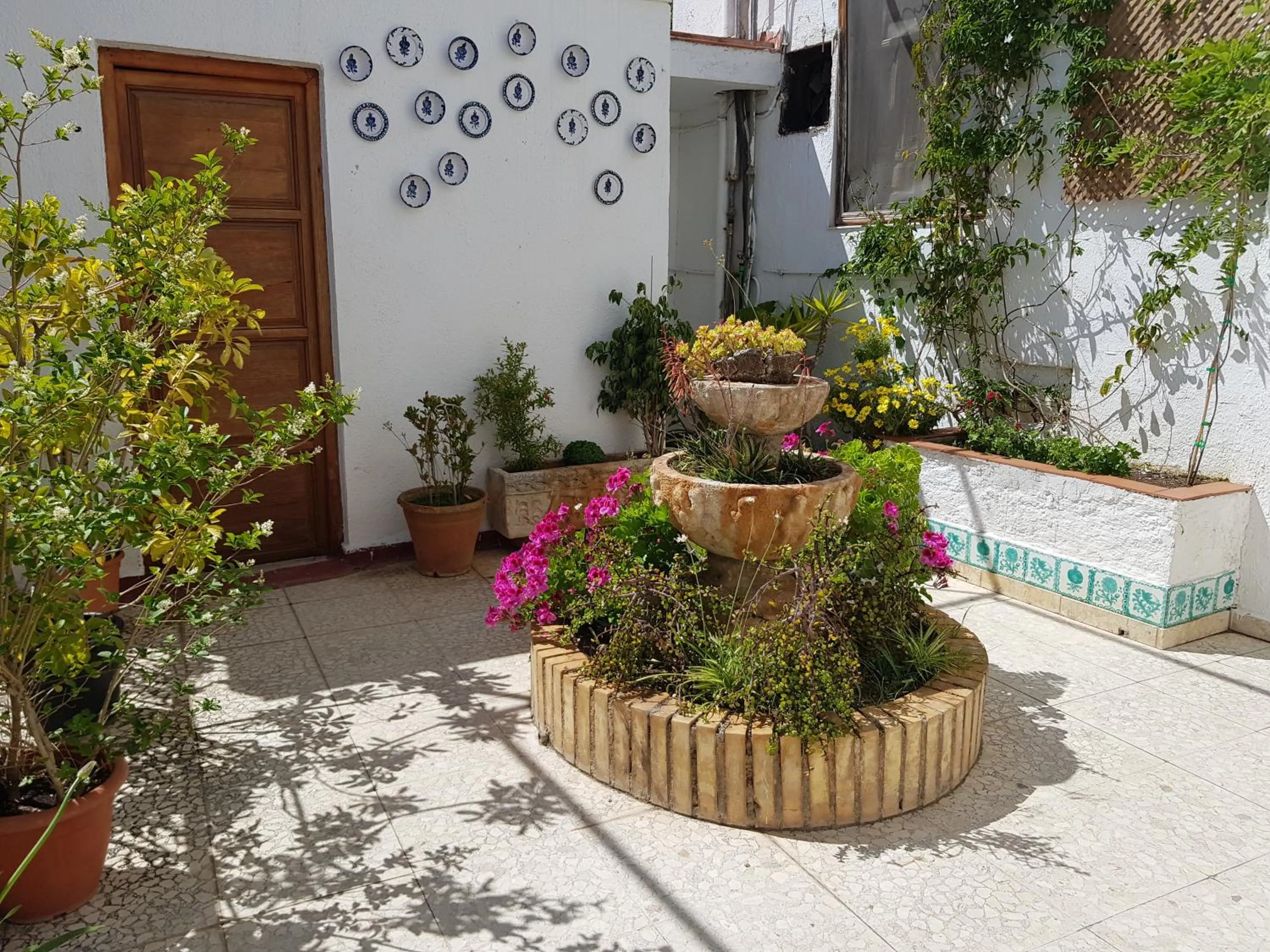 Natural landscape in Hotel Lanjaron