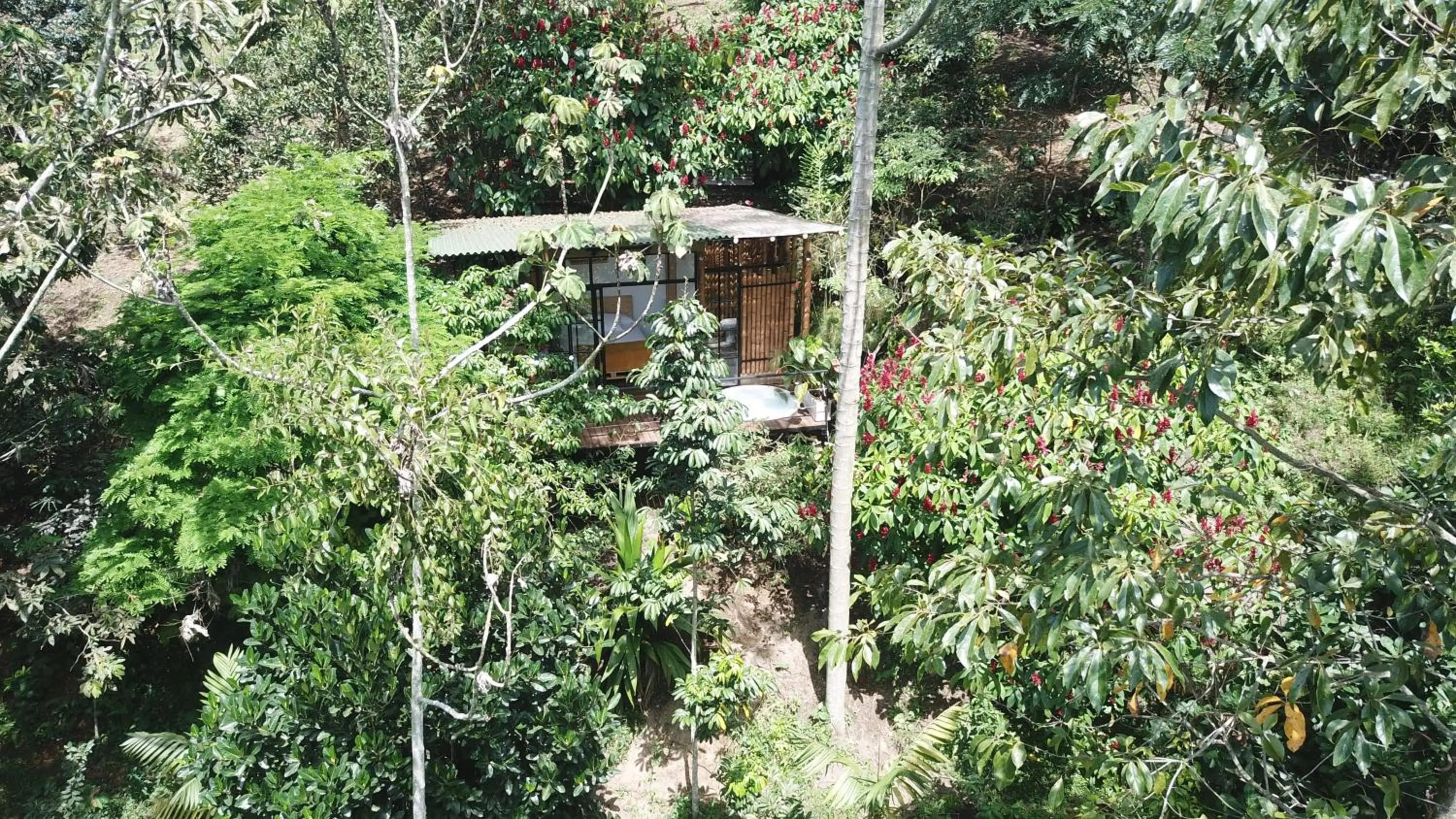 Facade/entrance in Ecohotel Alma
