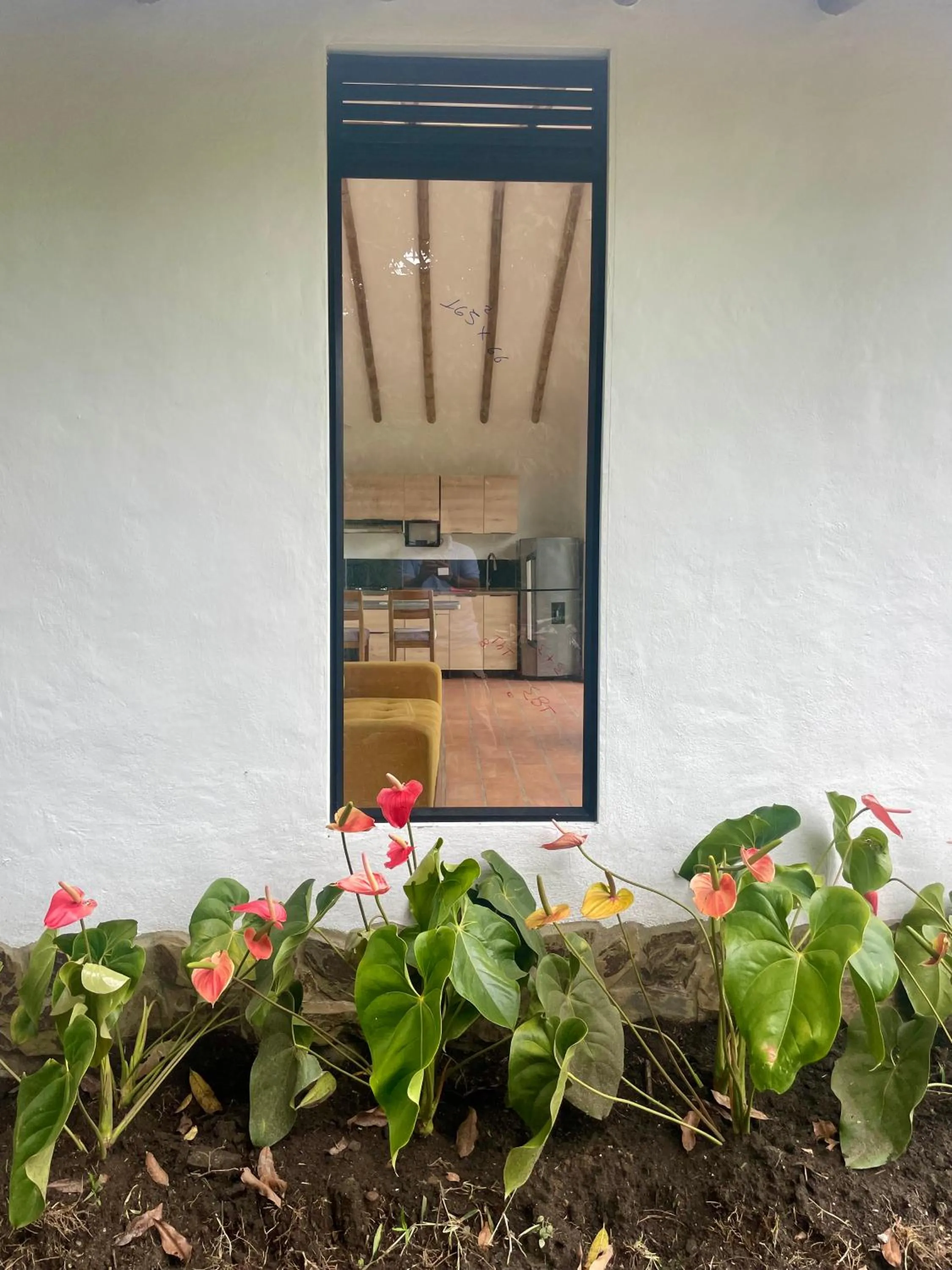 Garden view in Ecohotel Alma