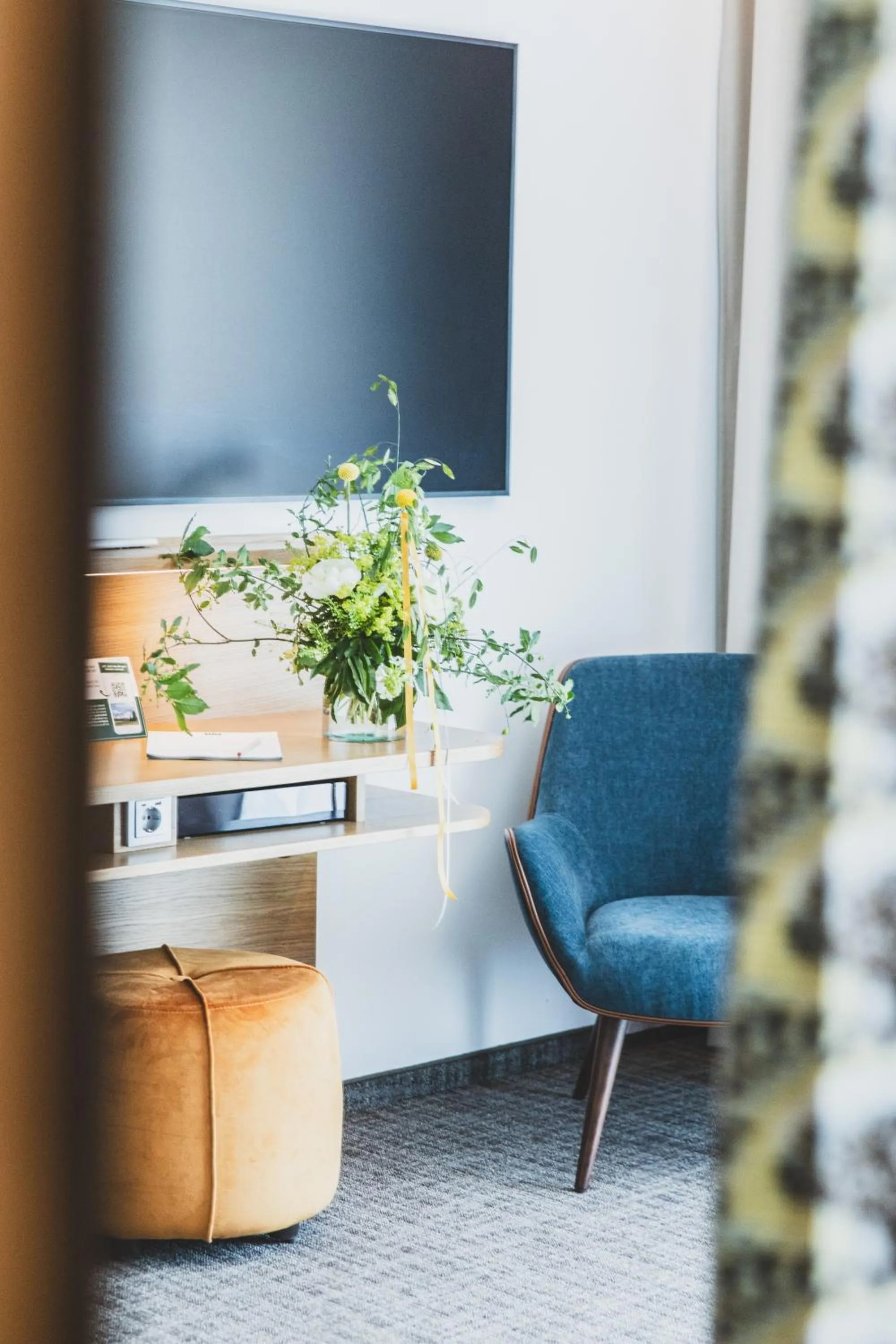 TV and multimedia in TILL Naturhotel - Self-Check-In