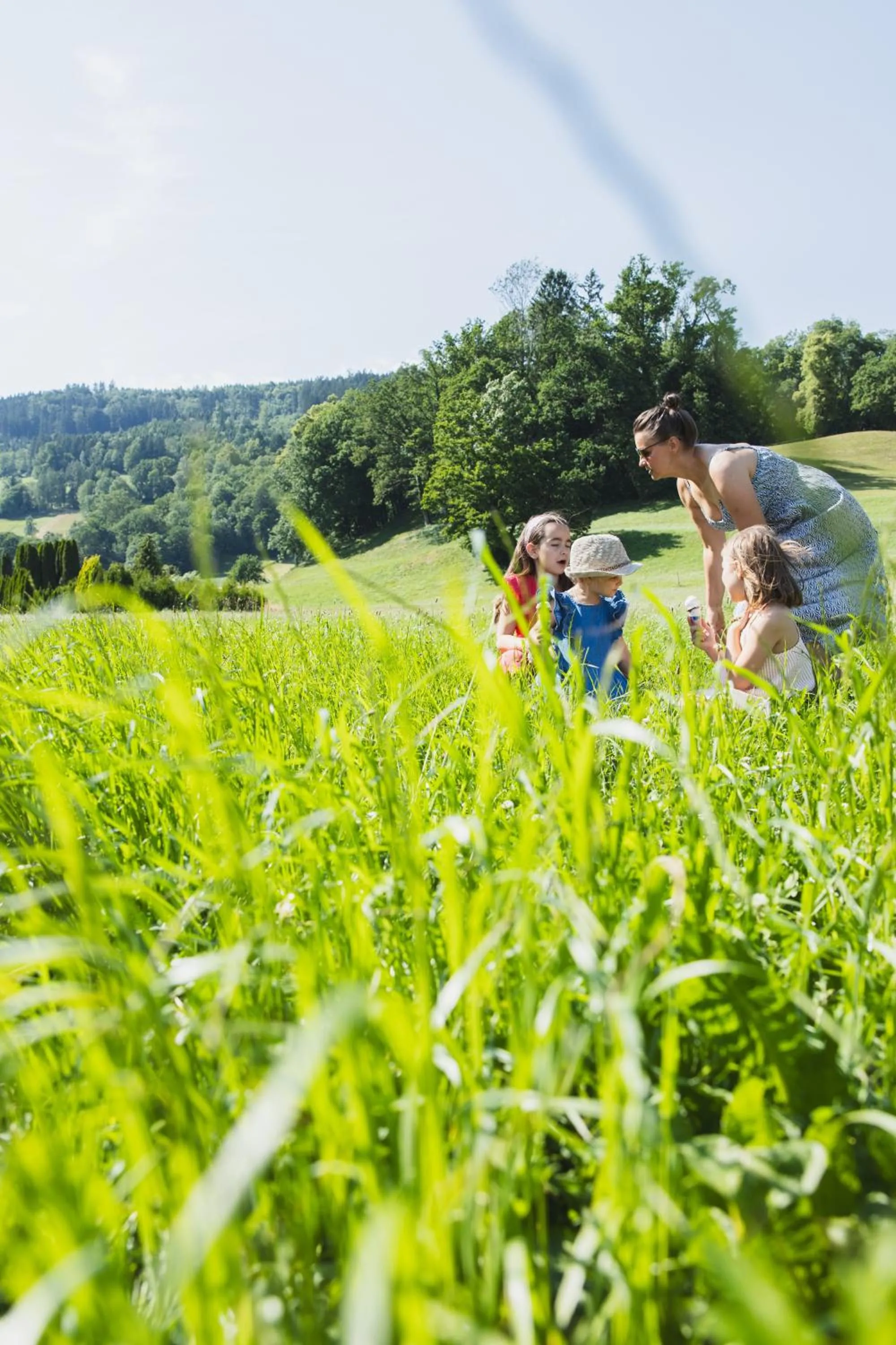 Natural landscape in TILL Naturhotel - Self-Check-In