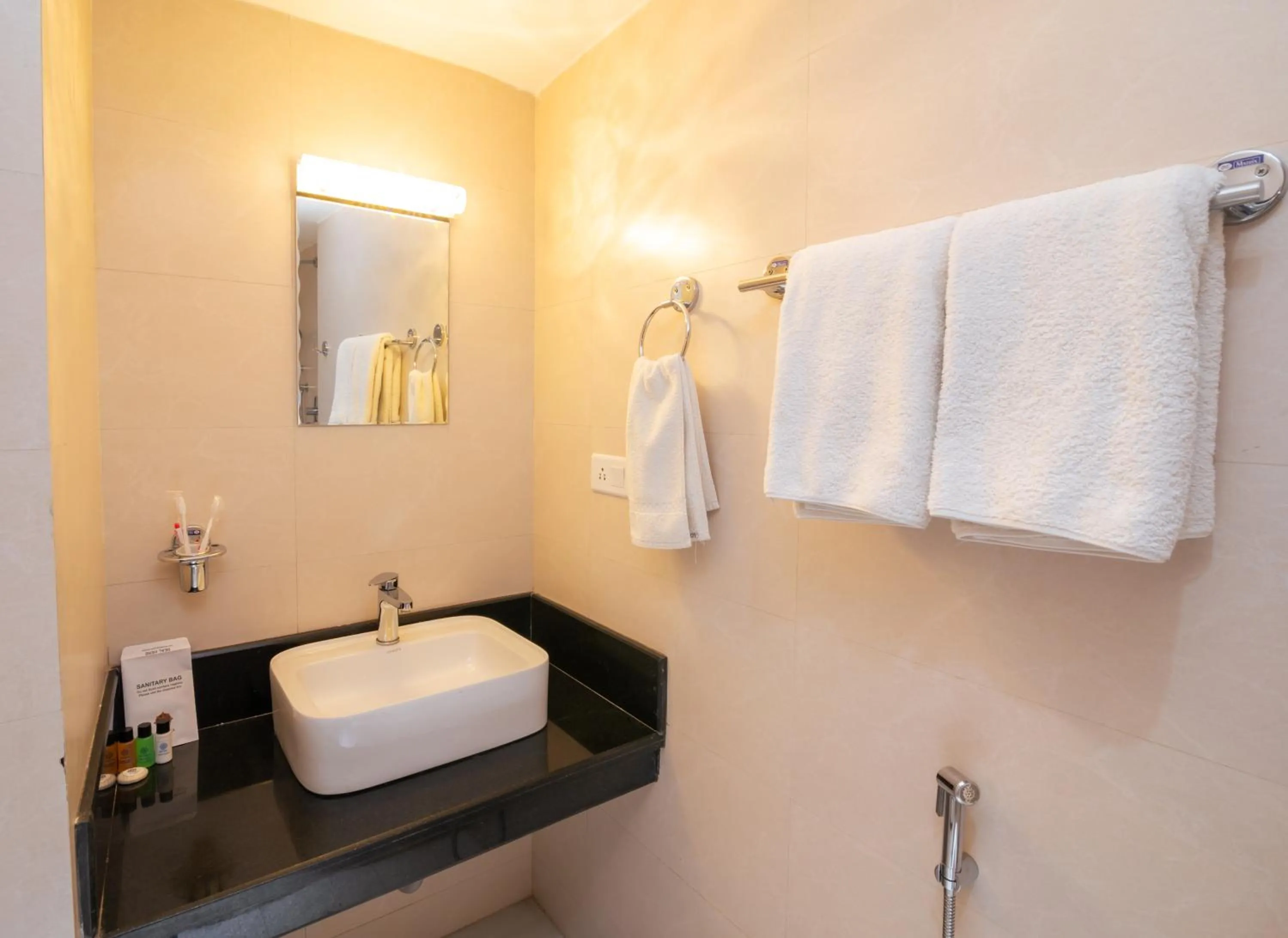 Bathroom in Hotel Ama-La, Thamel, Kathmandu