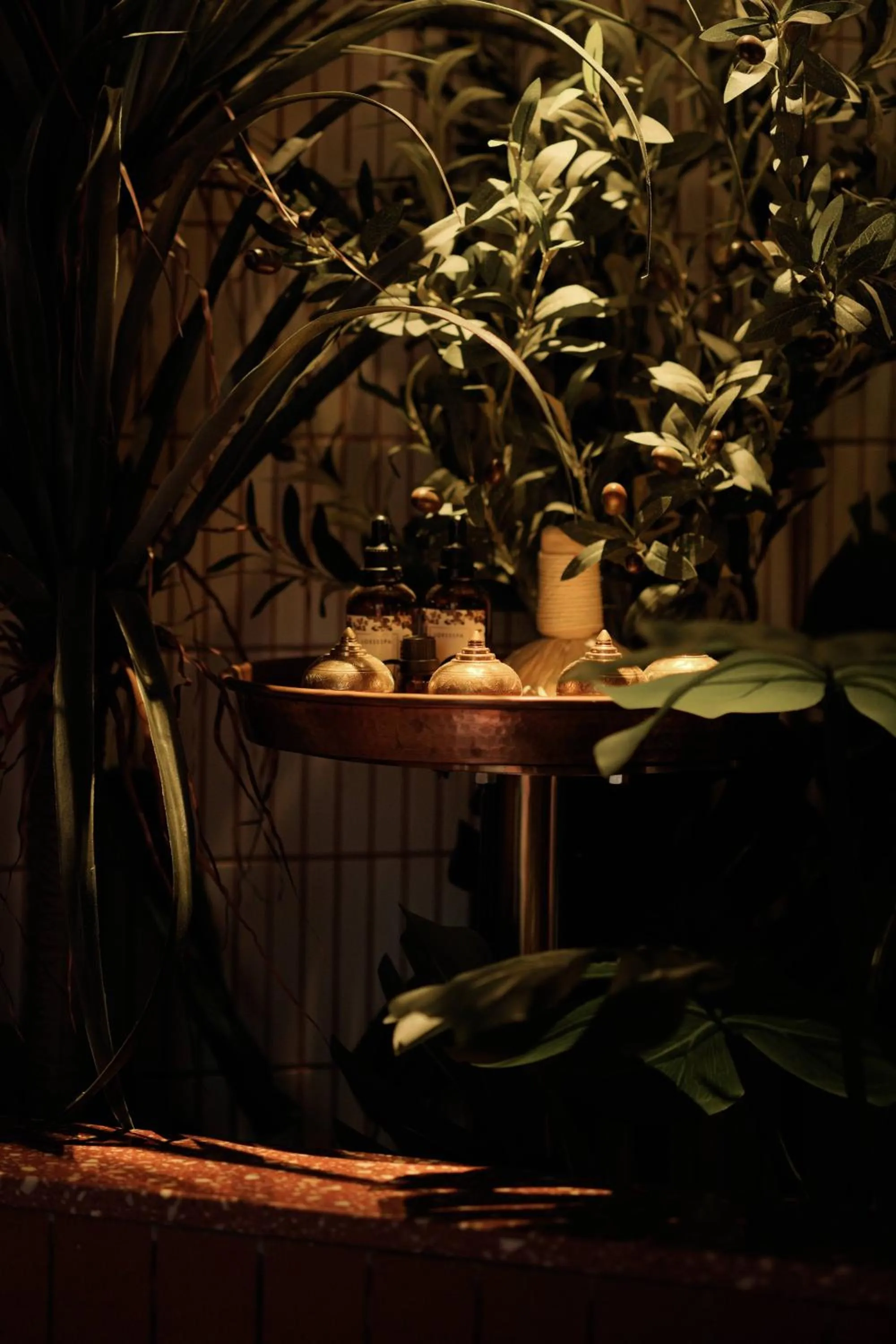 Spa and wellness centre/facilities in Jiangnan House Nantou