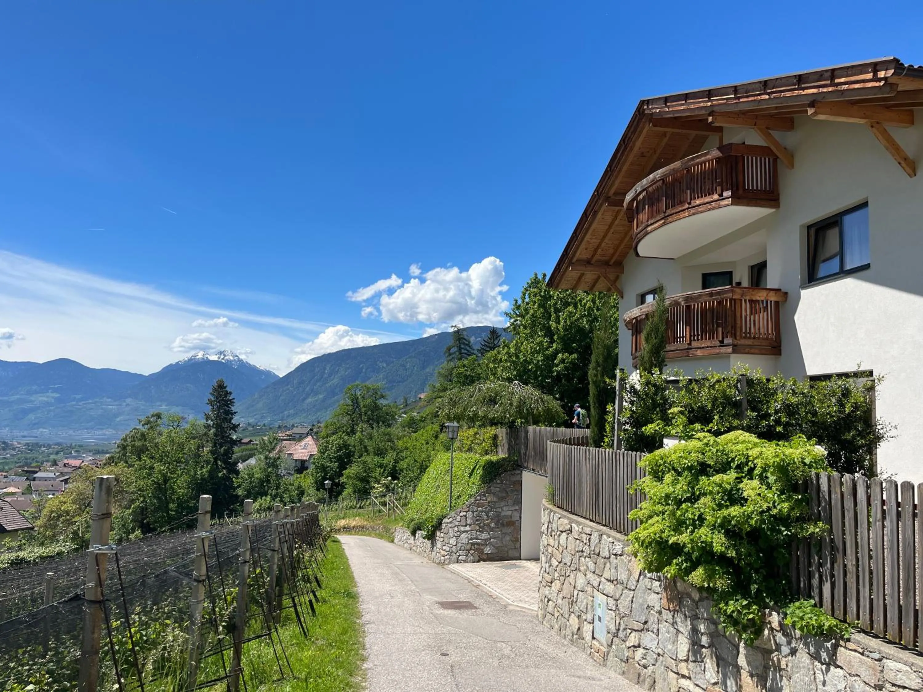 Villa Vitis