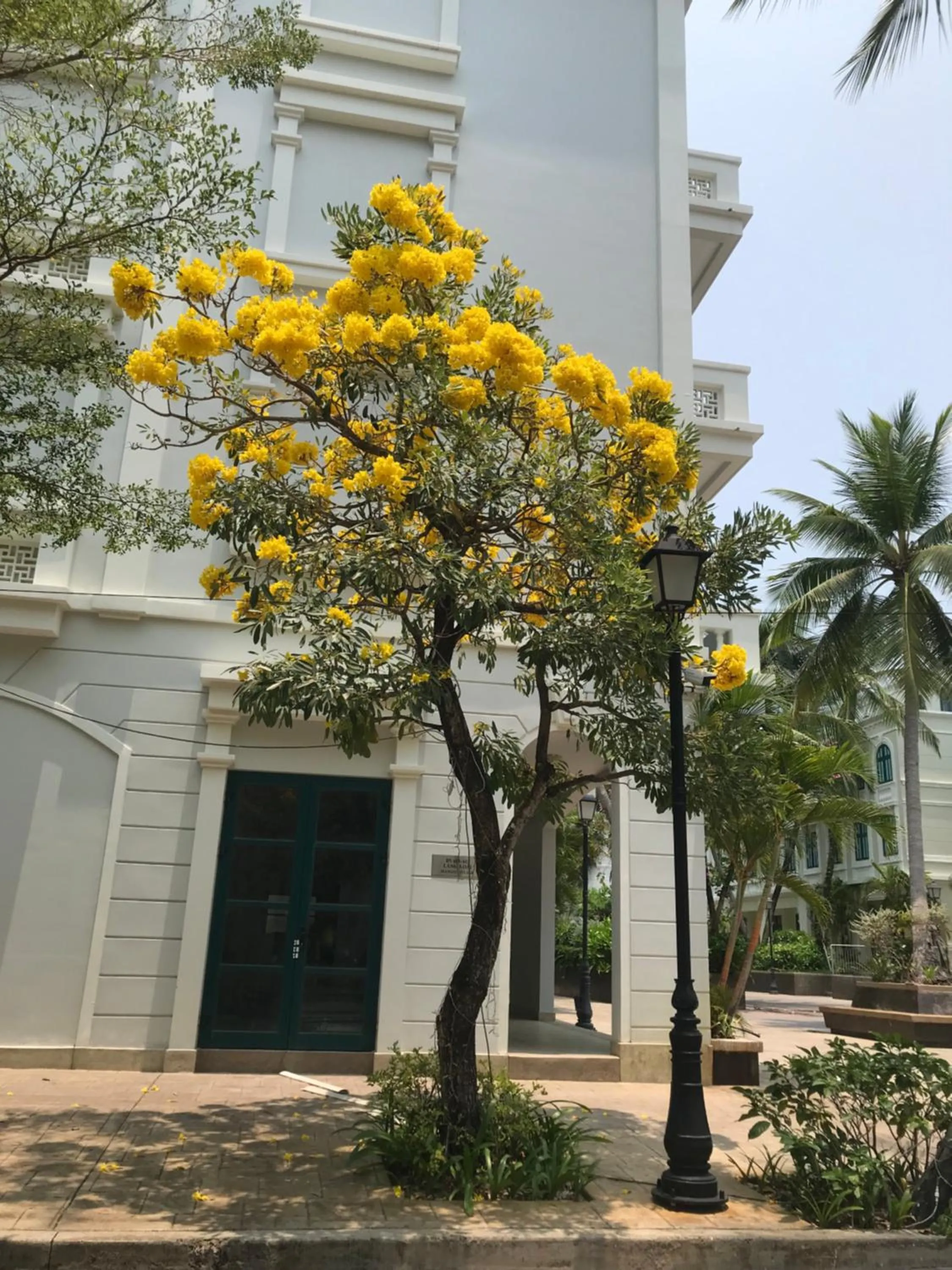 Garden in Kalia Hotel