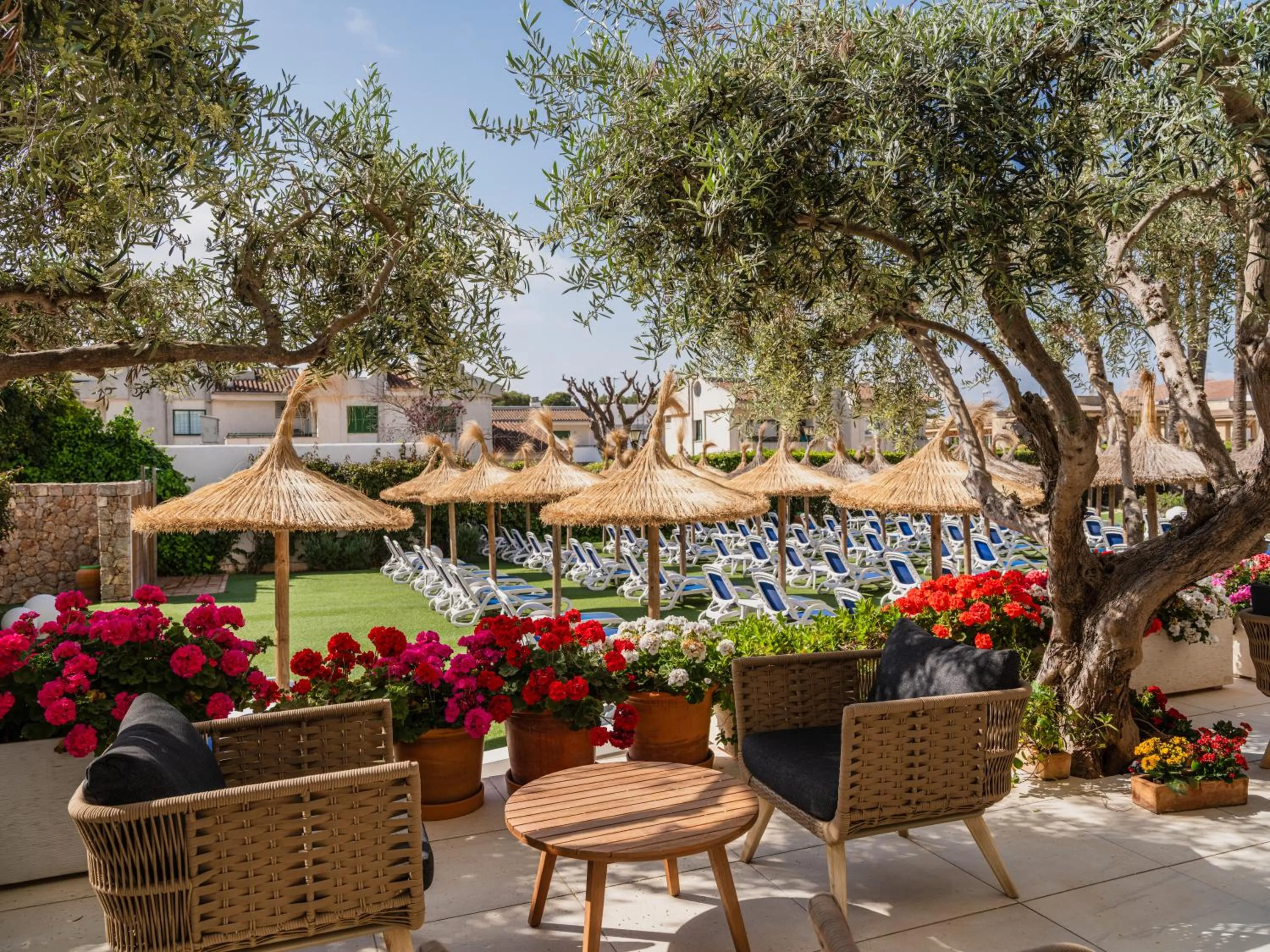 Solarium in Grupotel Maritimo