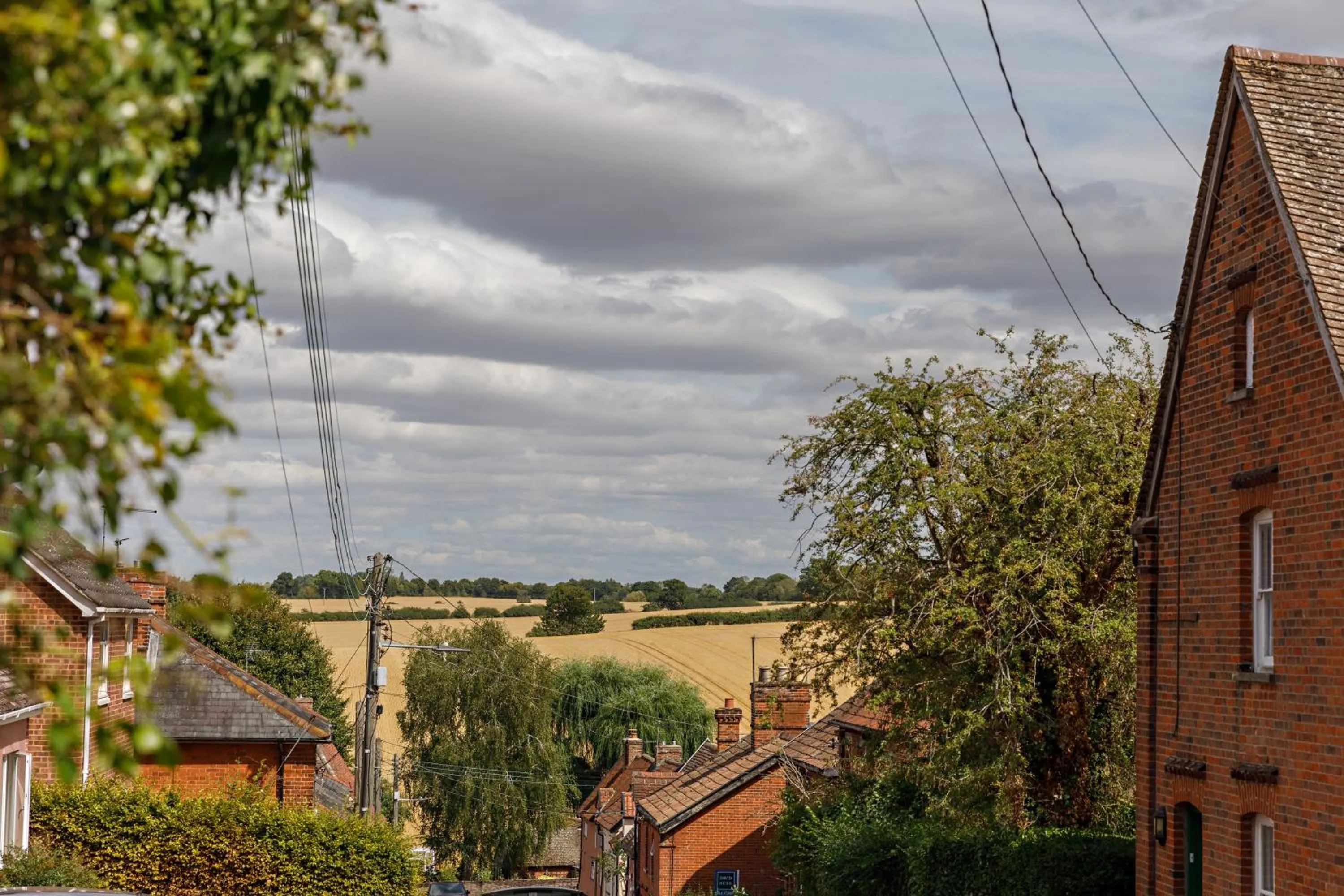Natural landscape in Georgina