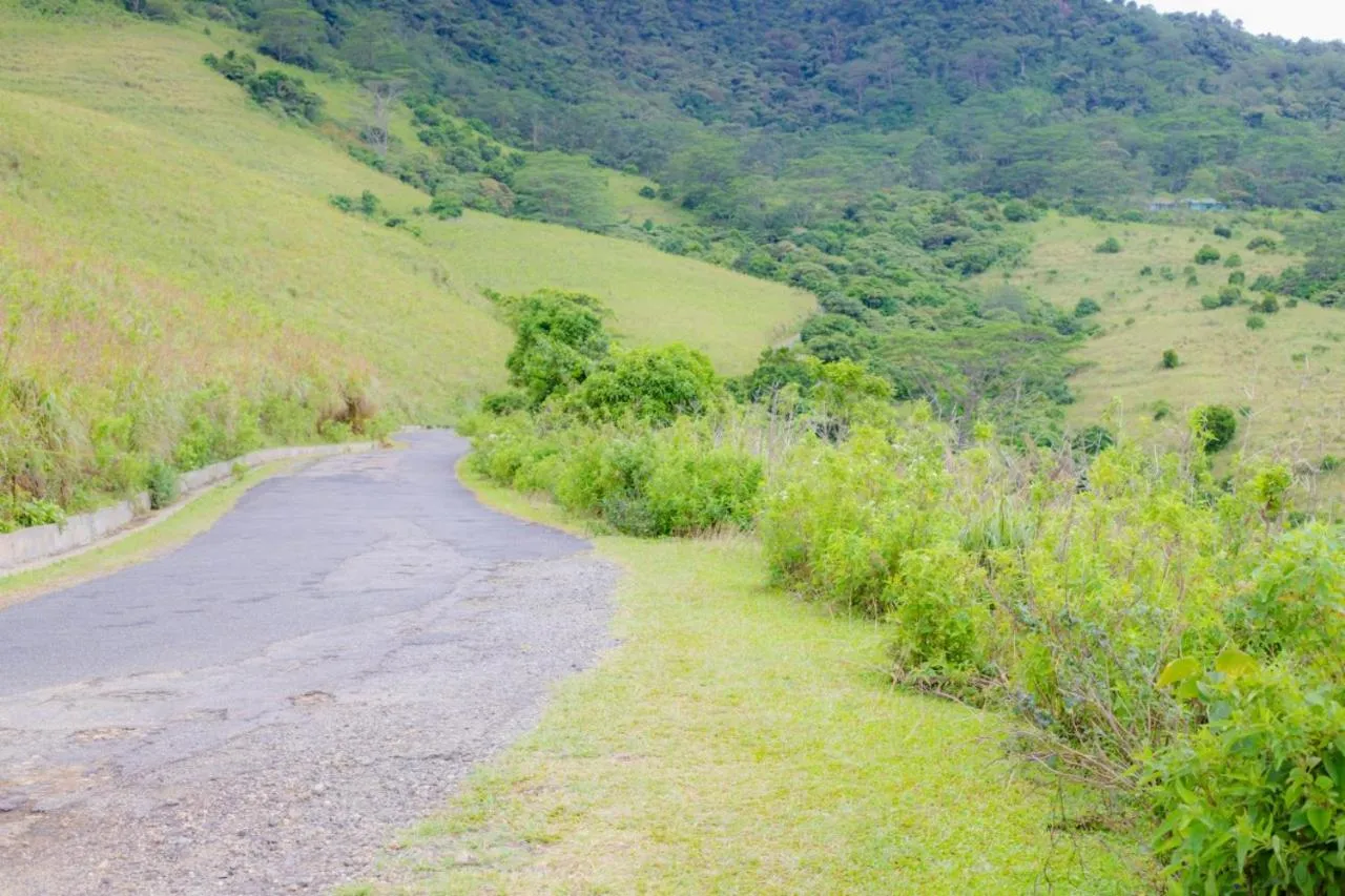 Natural landscape in CRYSTAL RIVERSTON DECK