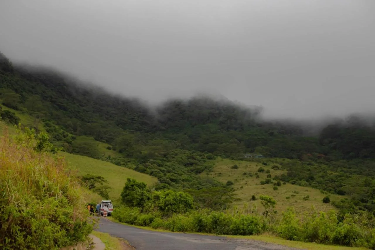 Natural landscape in CRYSTAL RIVERSTON DECK
