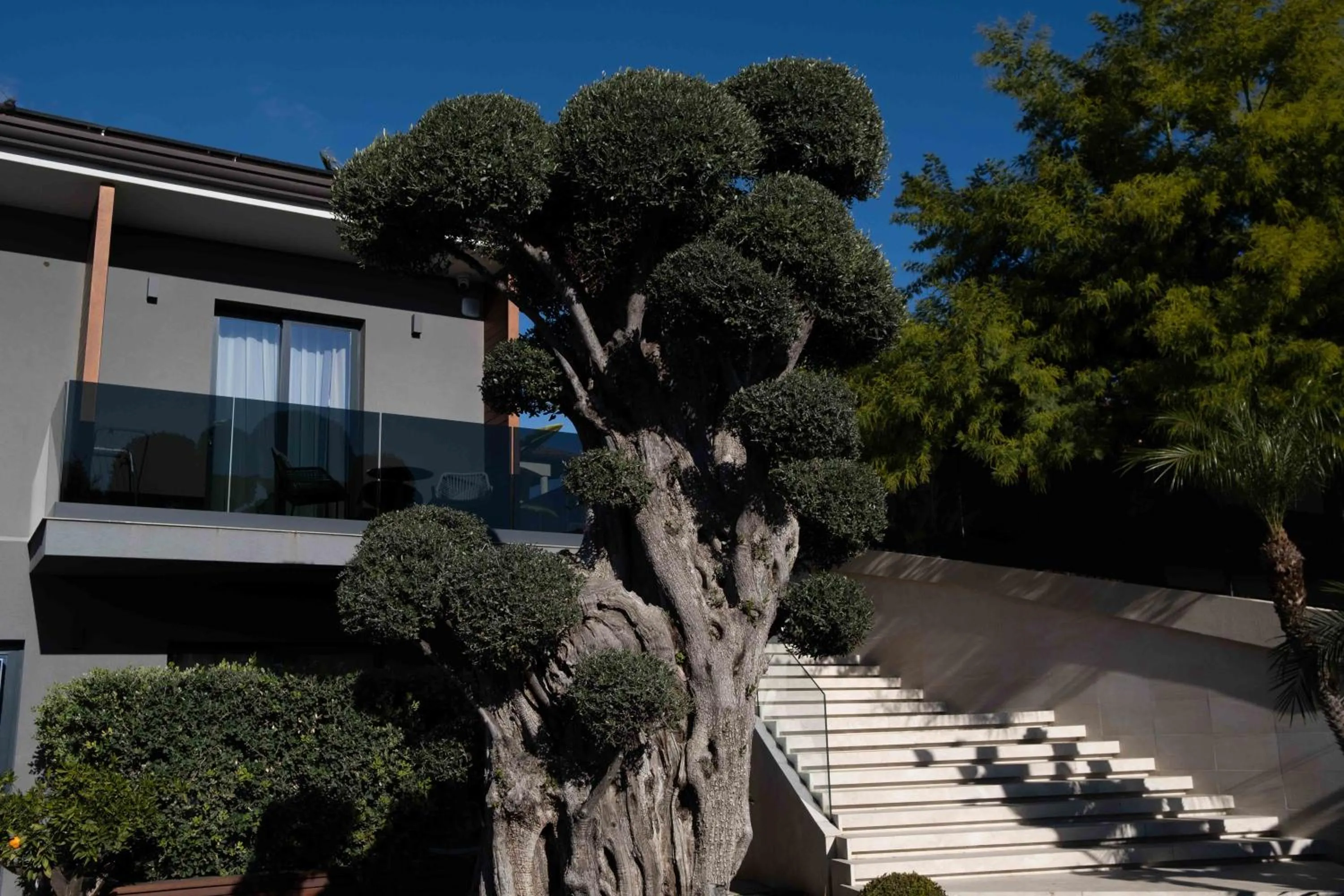 Garden in Divina Charme