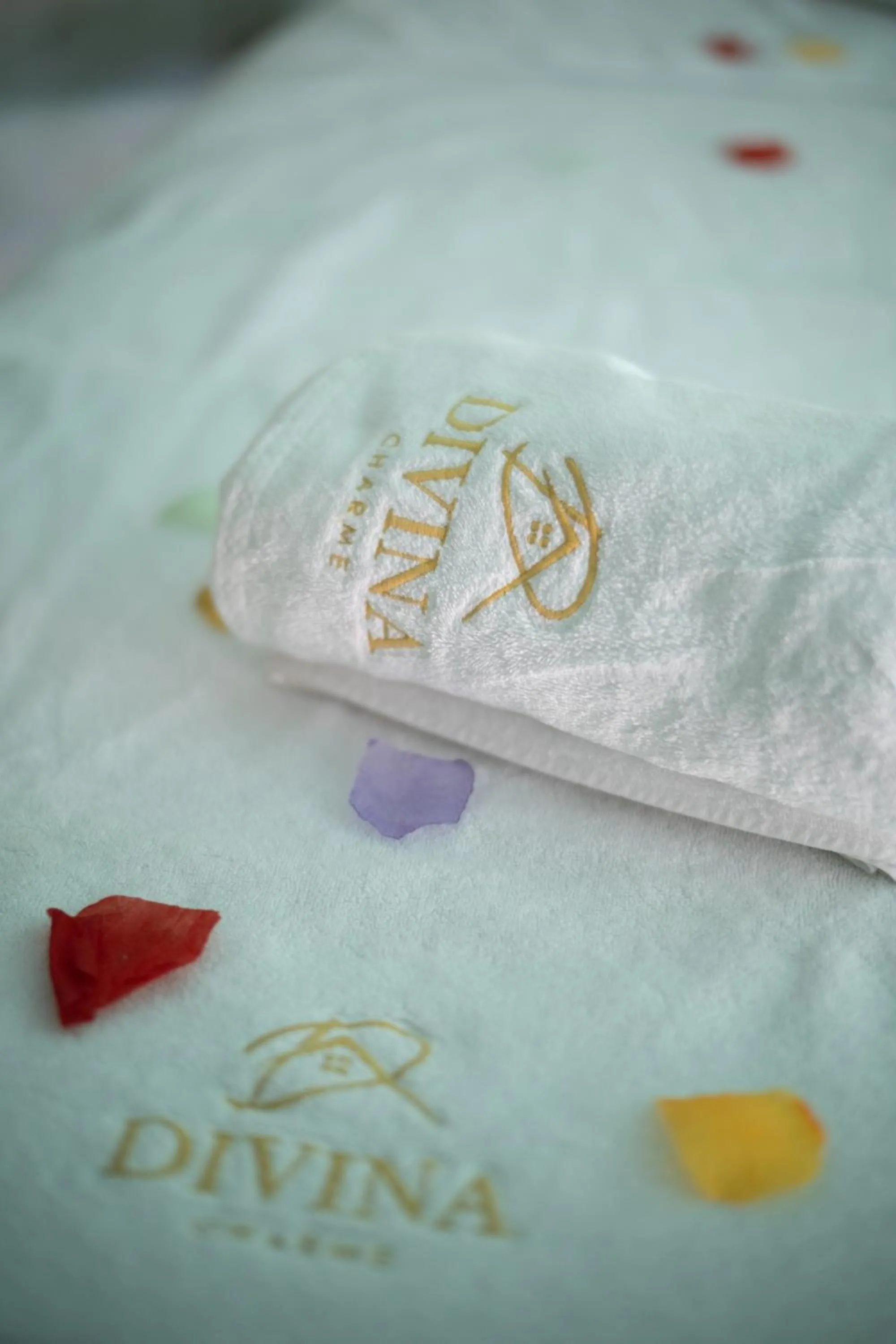 Property logo or sign, Bed in Divina Charme