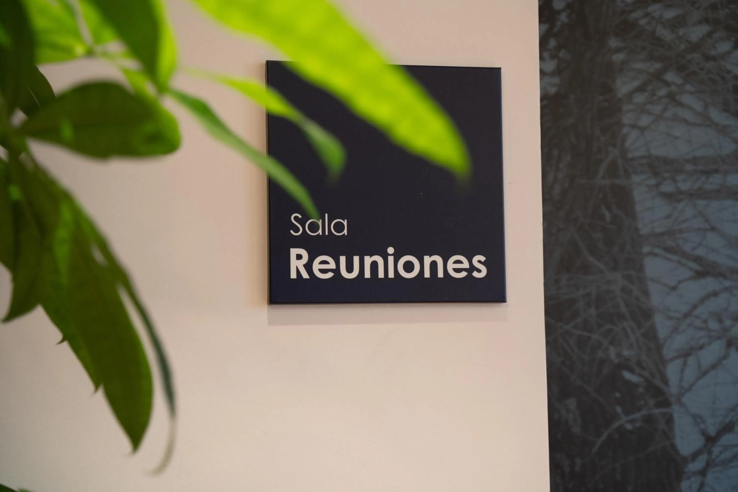 Meeting/conference room in Sancho Ramirez