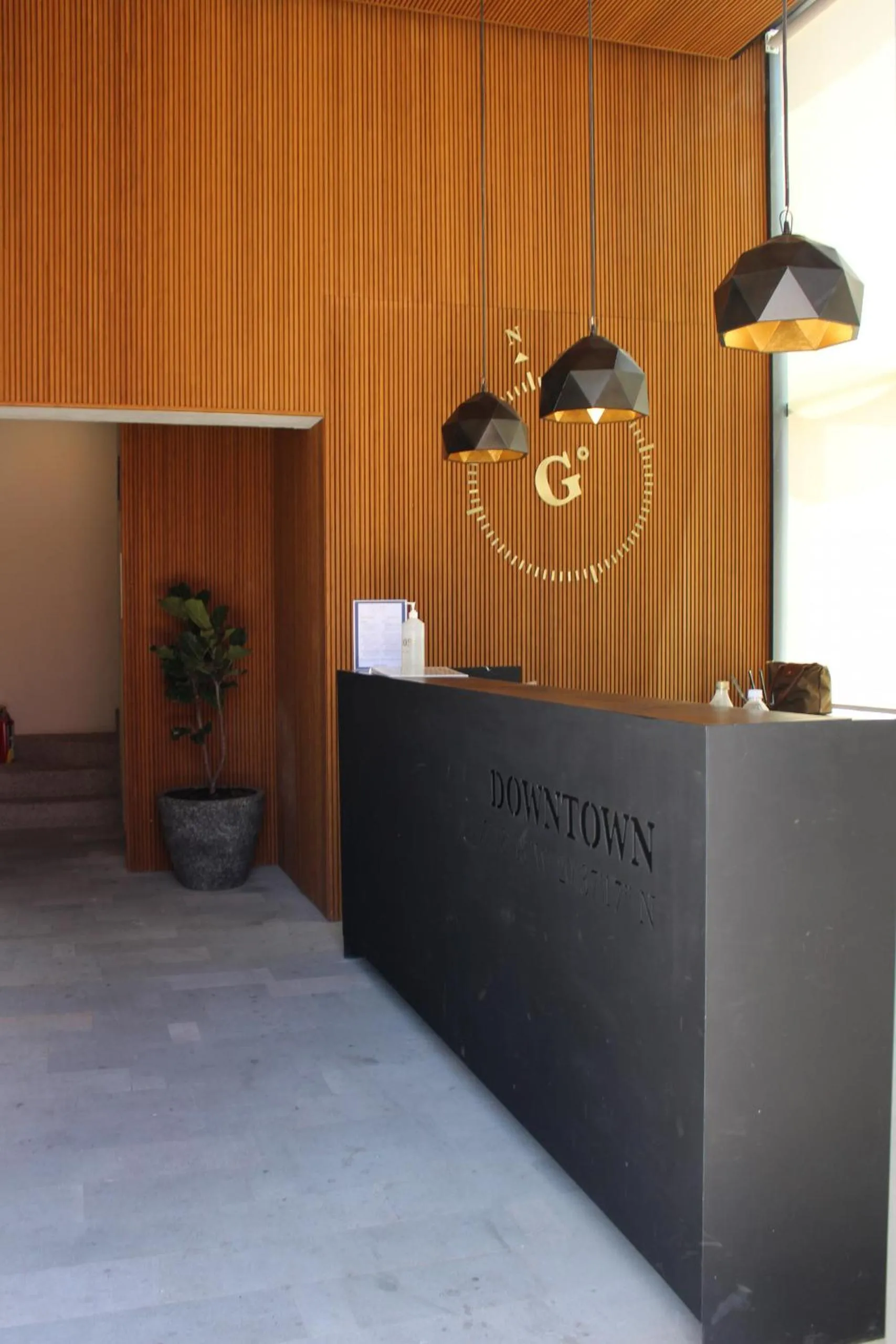 Lobby or reception in 105 Downtown