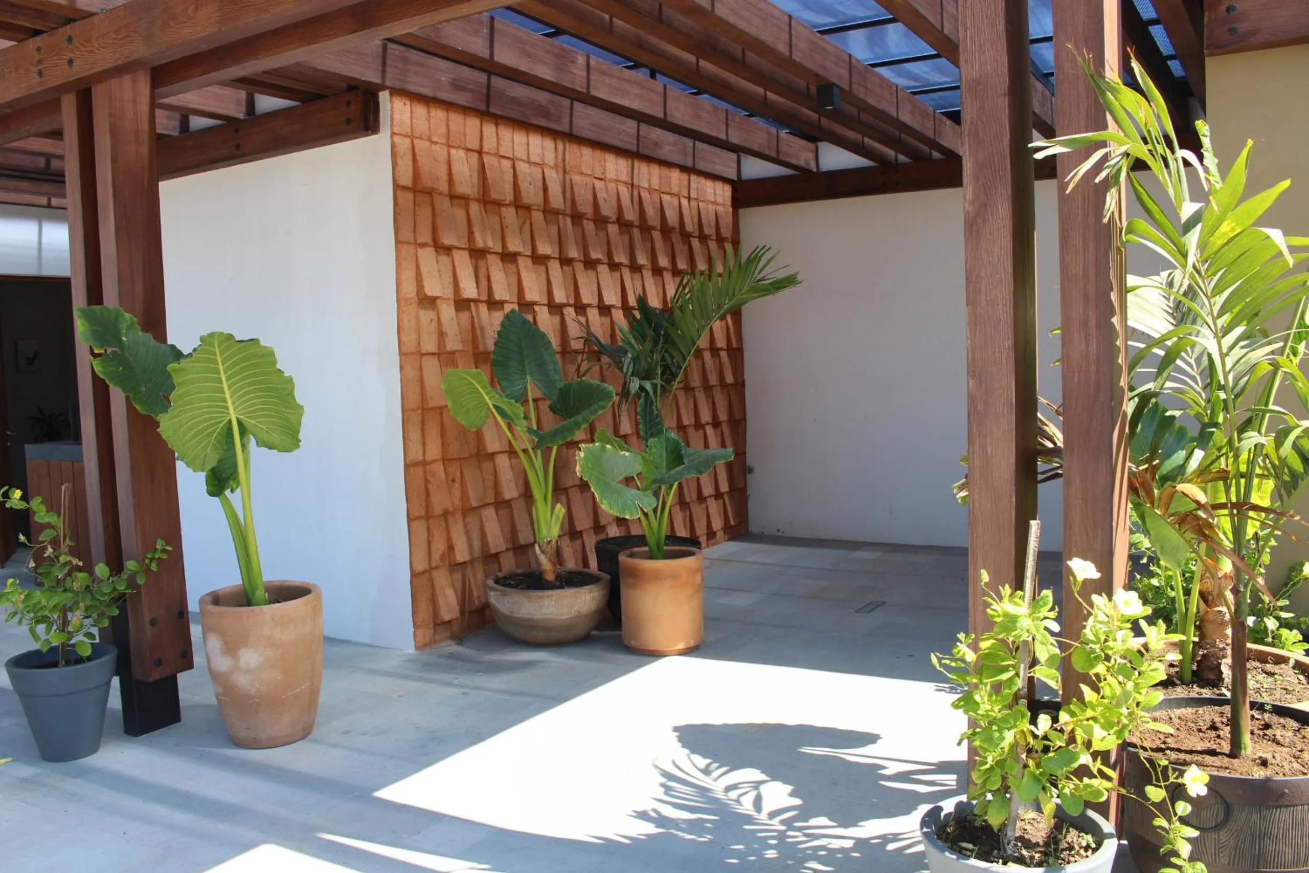 Balcony/Terrace in 105 Downtown