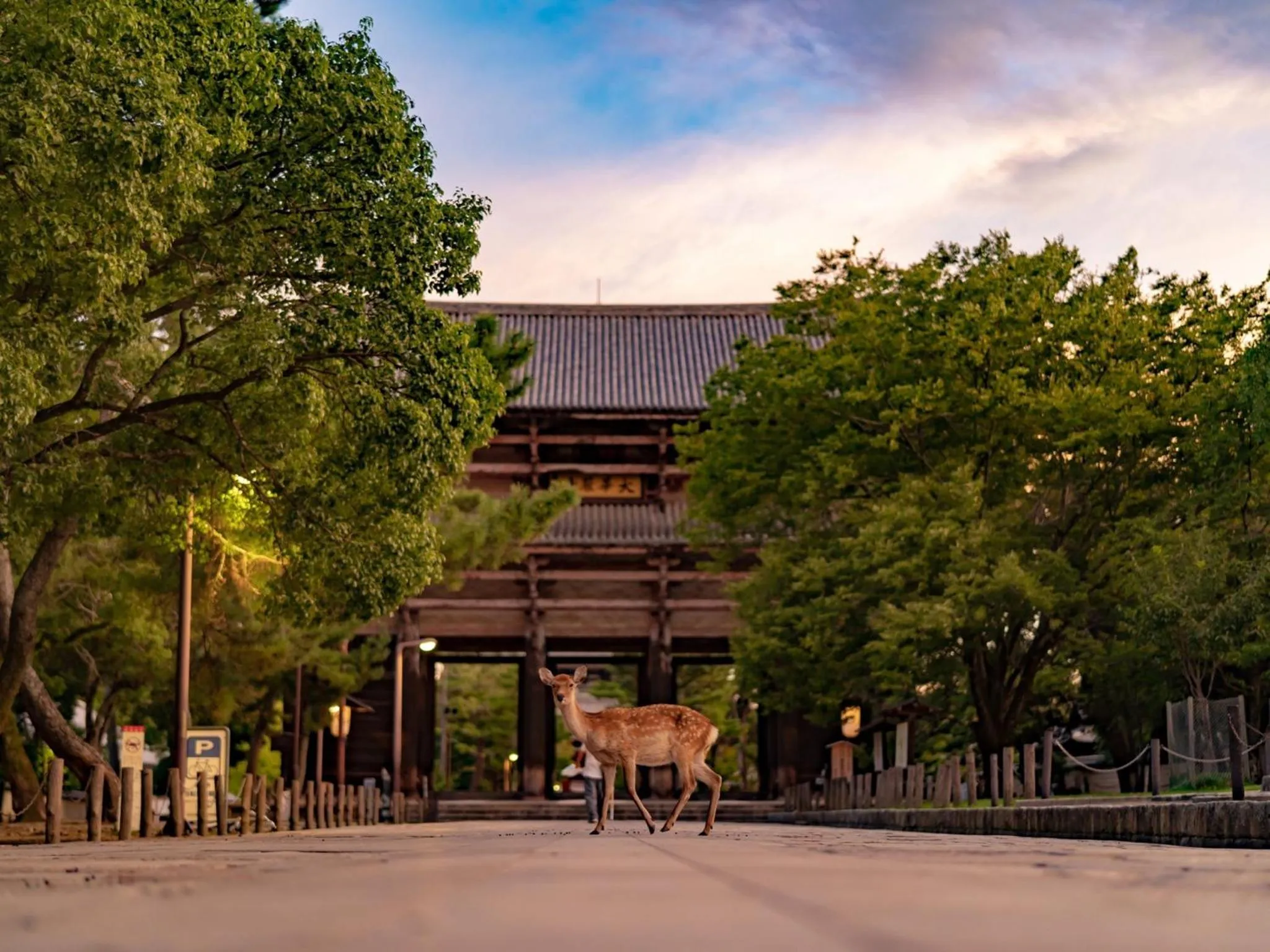 Hotel Tenpyo Naramachi - Vacation STAY 59515v