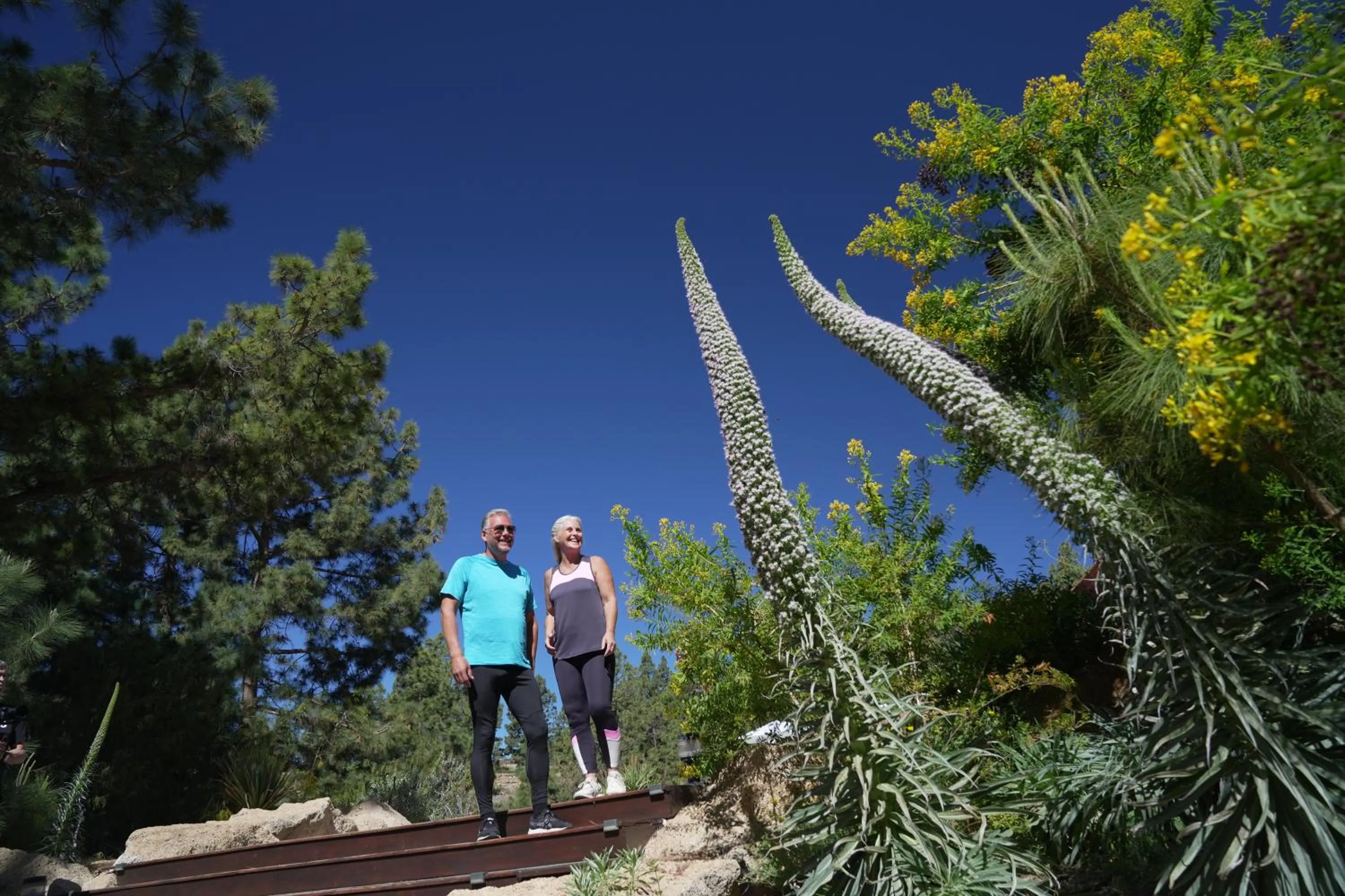 Natural landscape in Hotel Spa Villalba