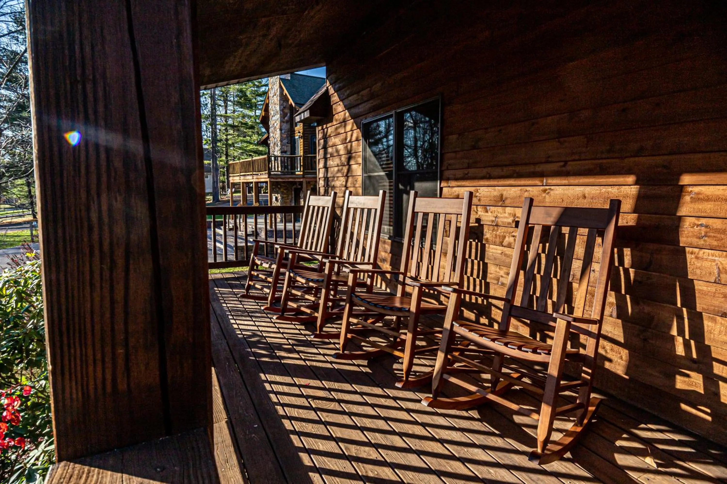 Property building in Dancing Bear Lodge