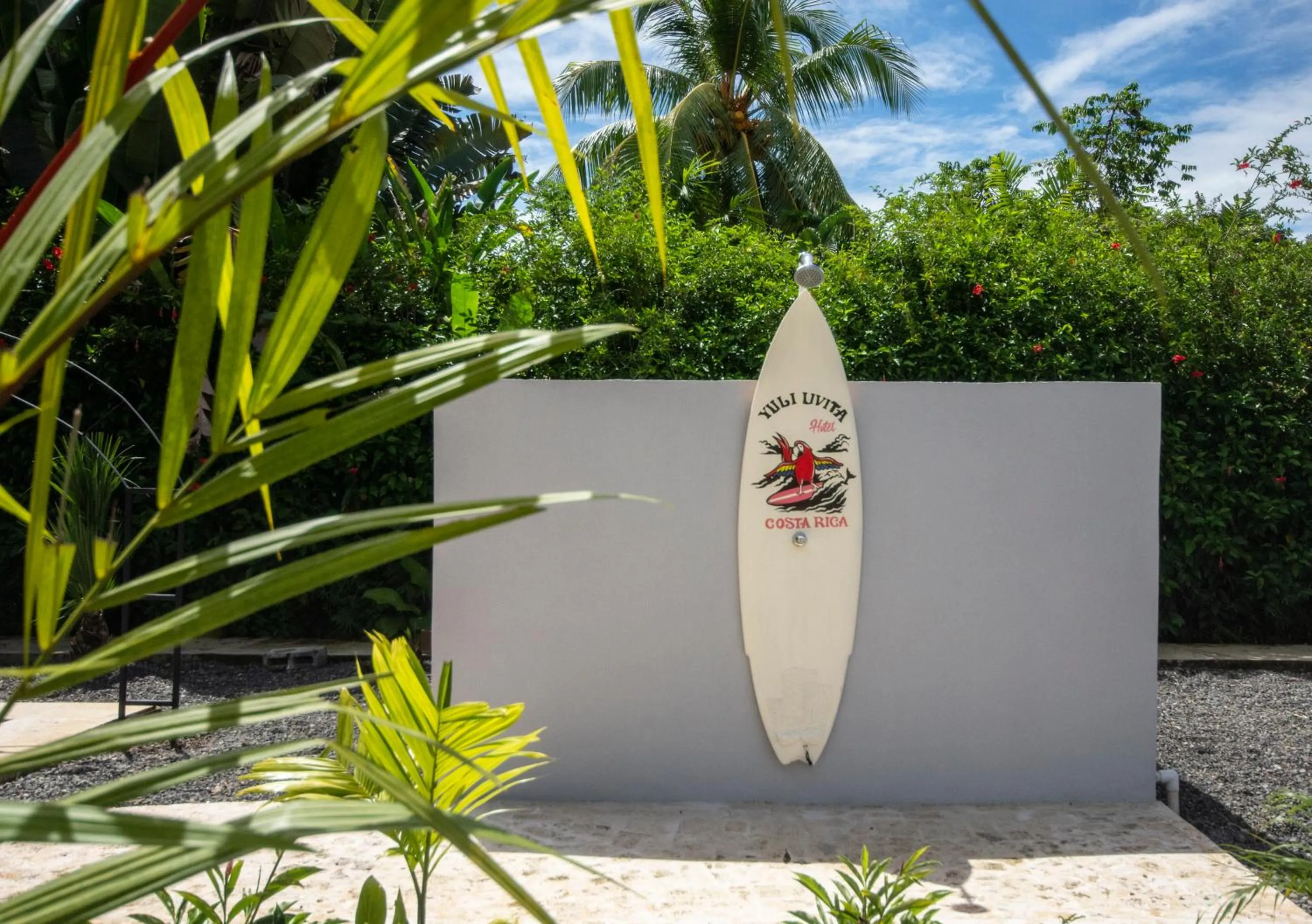 Garden in Yuli Hotel