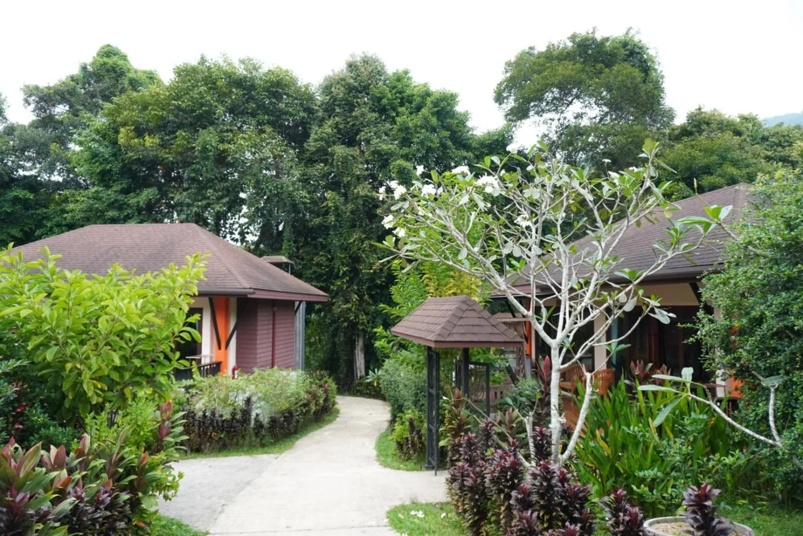 View (from property/room) in Cascade Tara