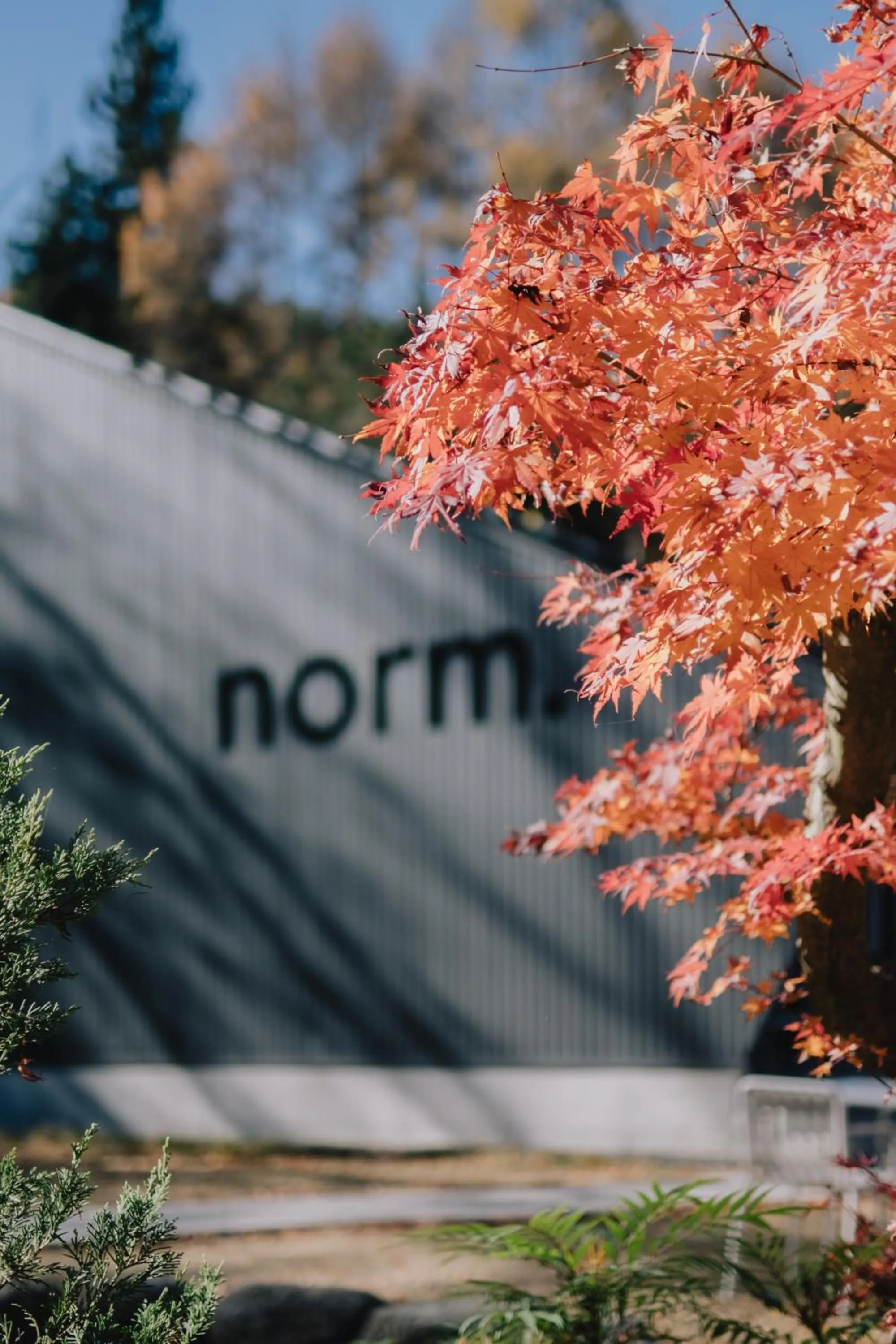 Day in hotel norm. fuji