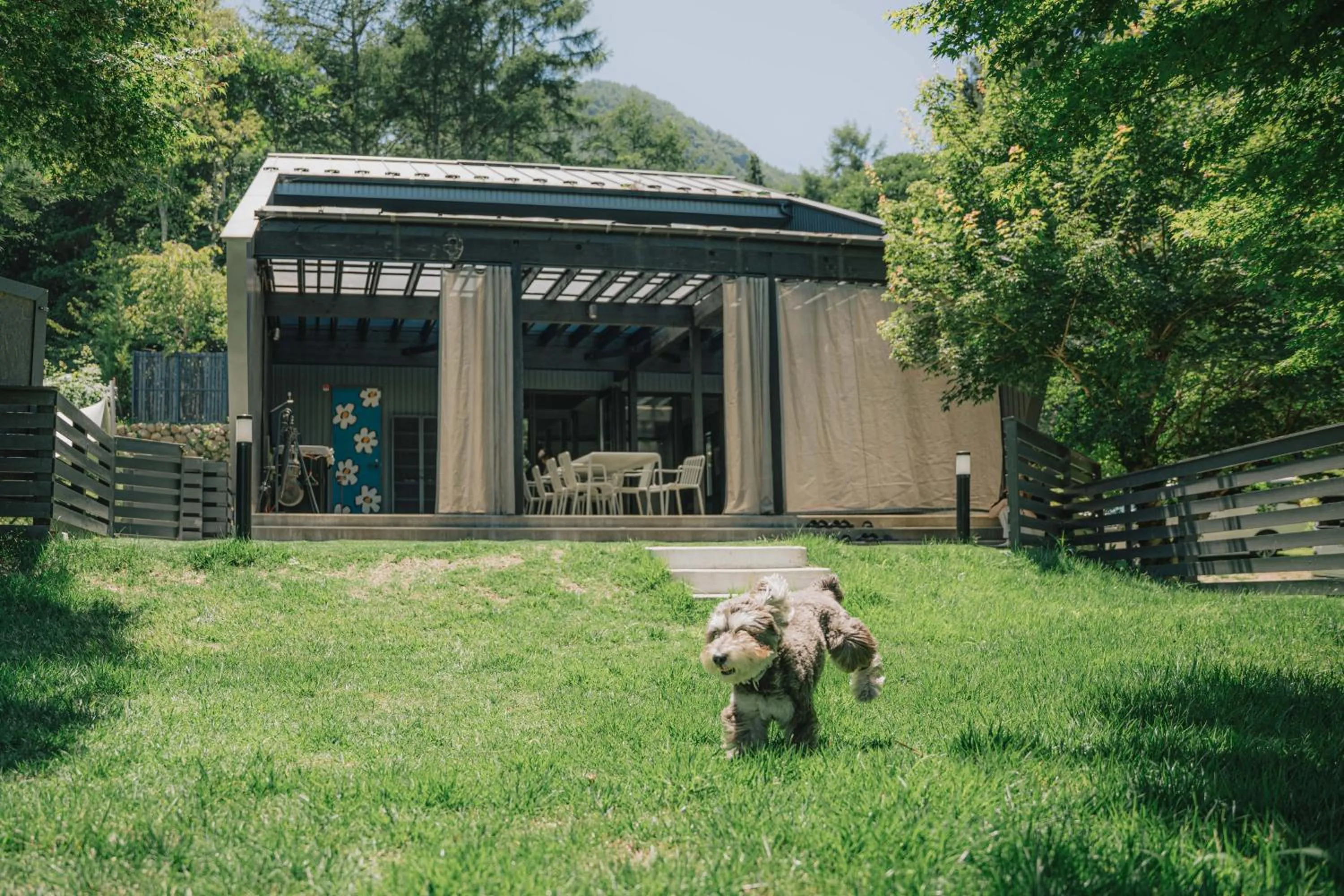 Garden in hotel norm. fuji