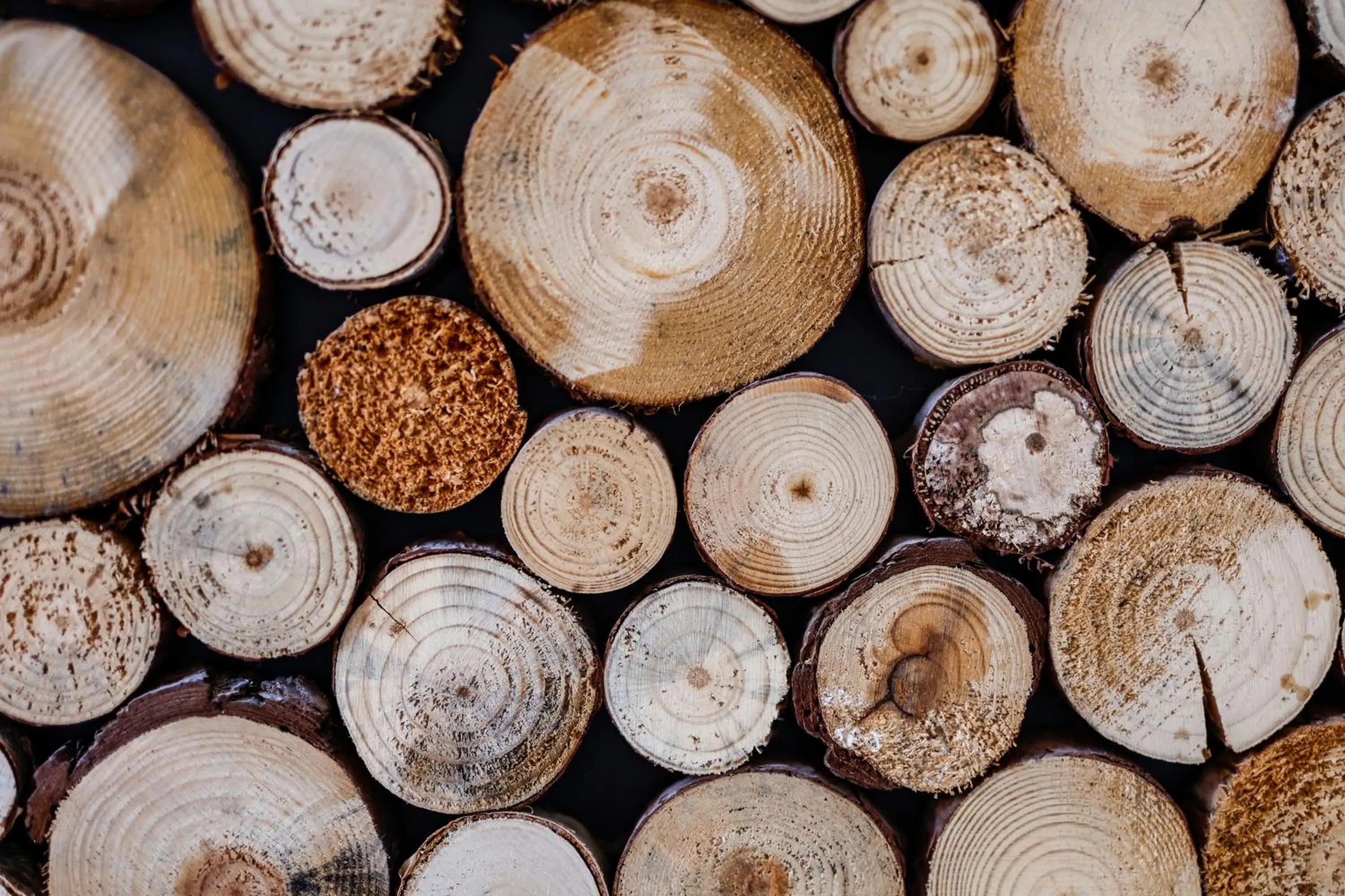 Decorative detail in Sleephotels Alsterroom