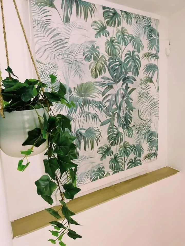 Bica inn cozy apartament