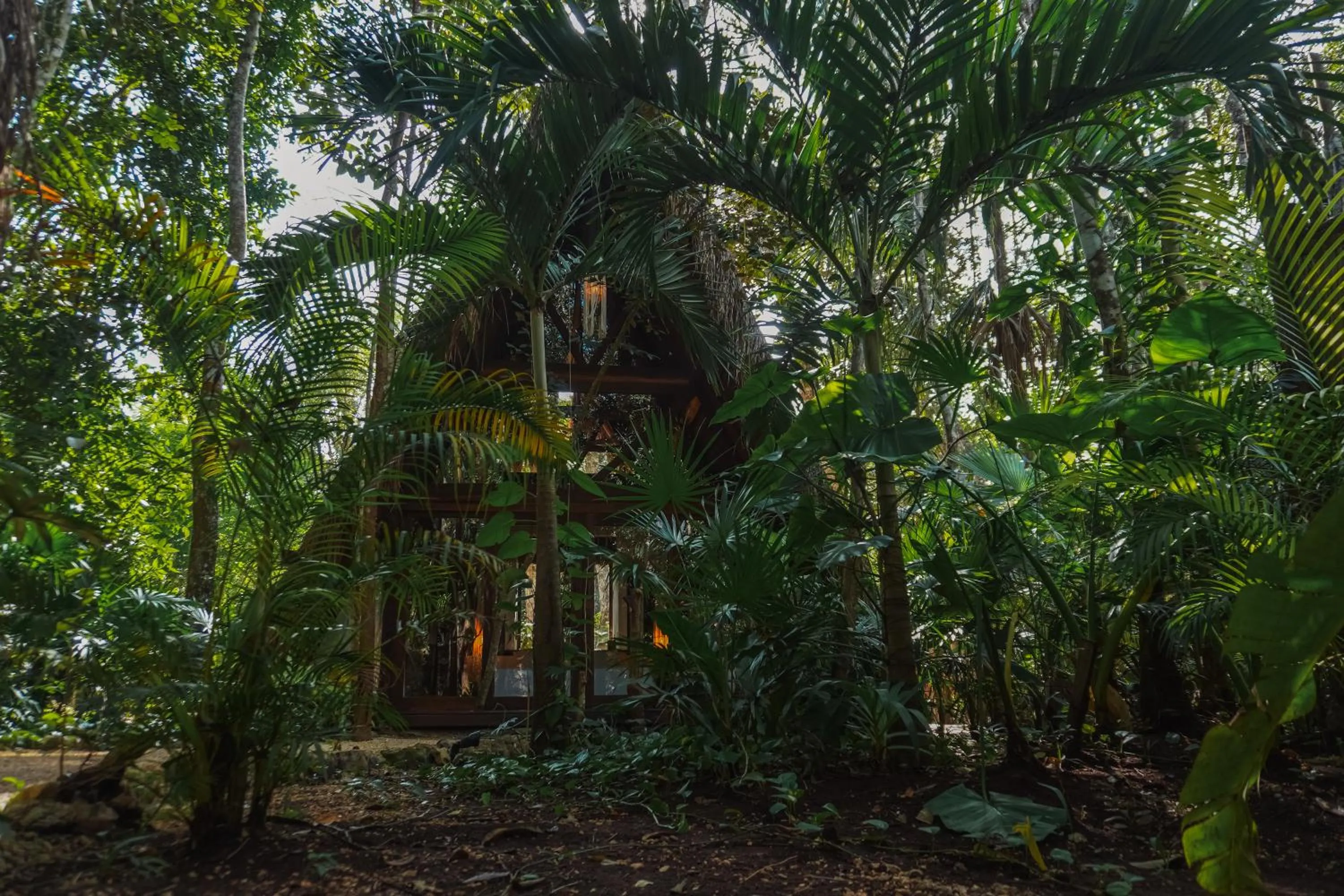 Natural landscape in Naya Bacalar Lagoon Front Hotel