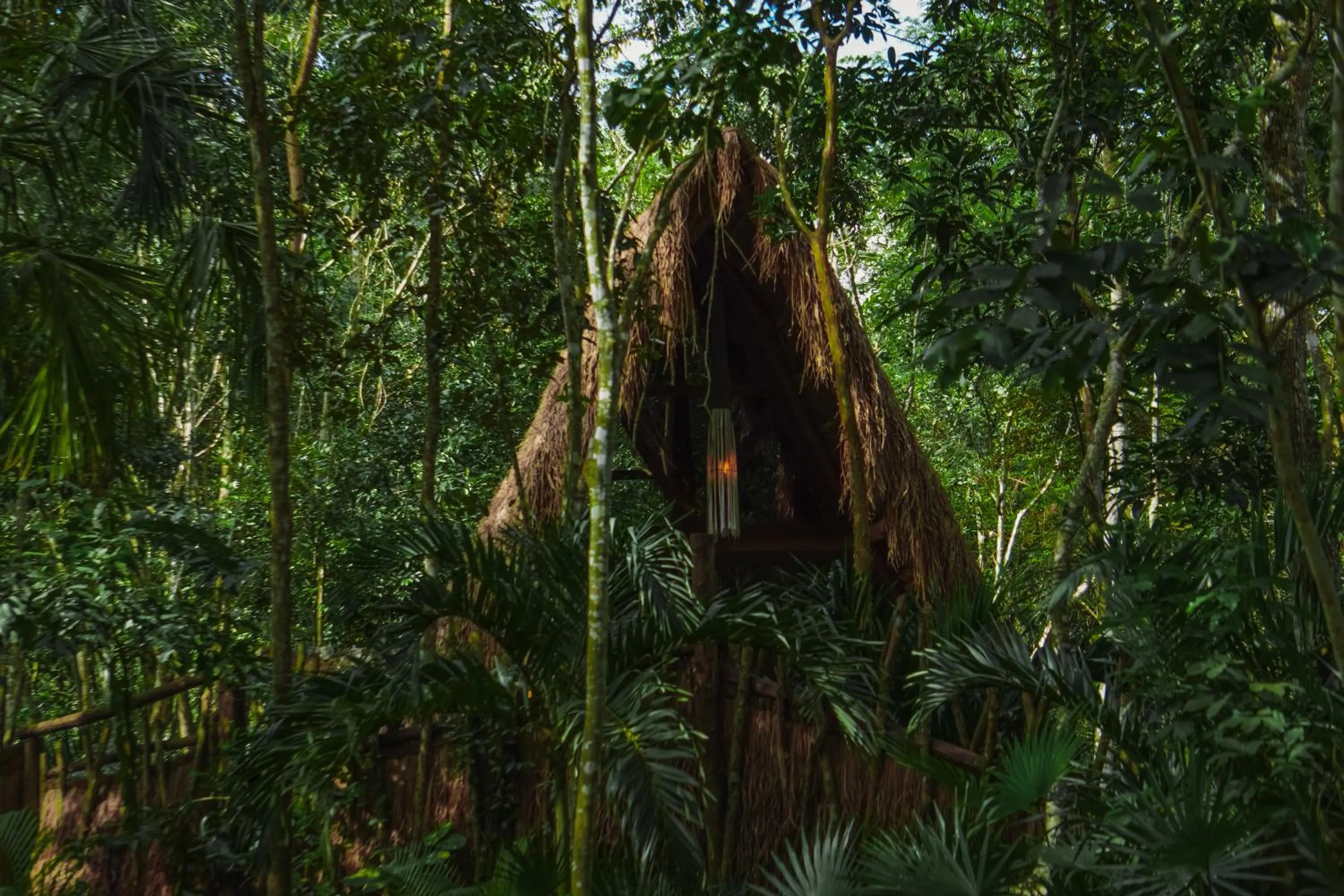 Natural landscape in Naya Bacalar Lagoon Front Hotel