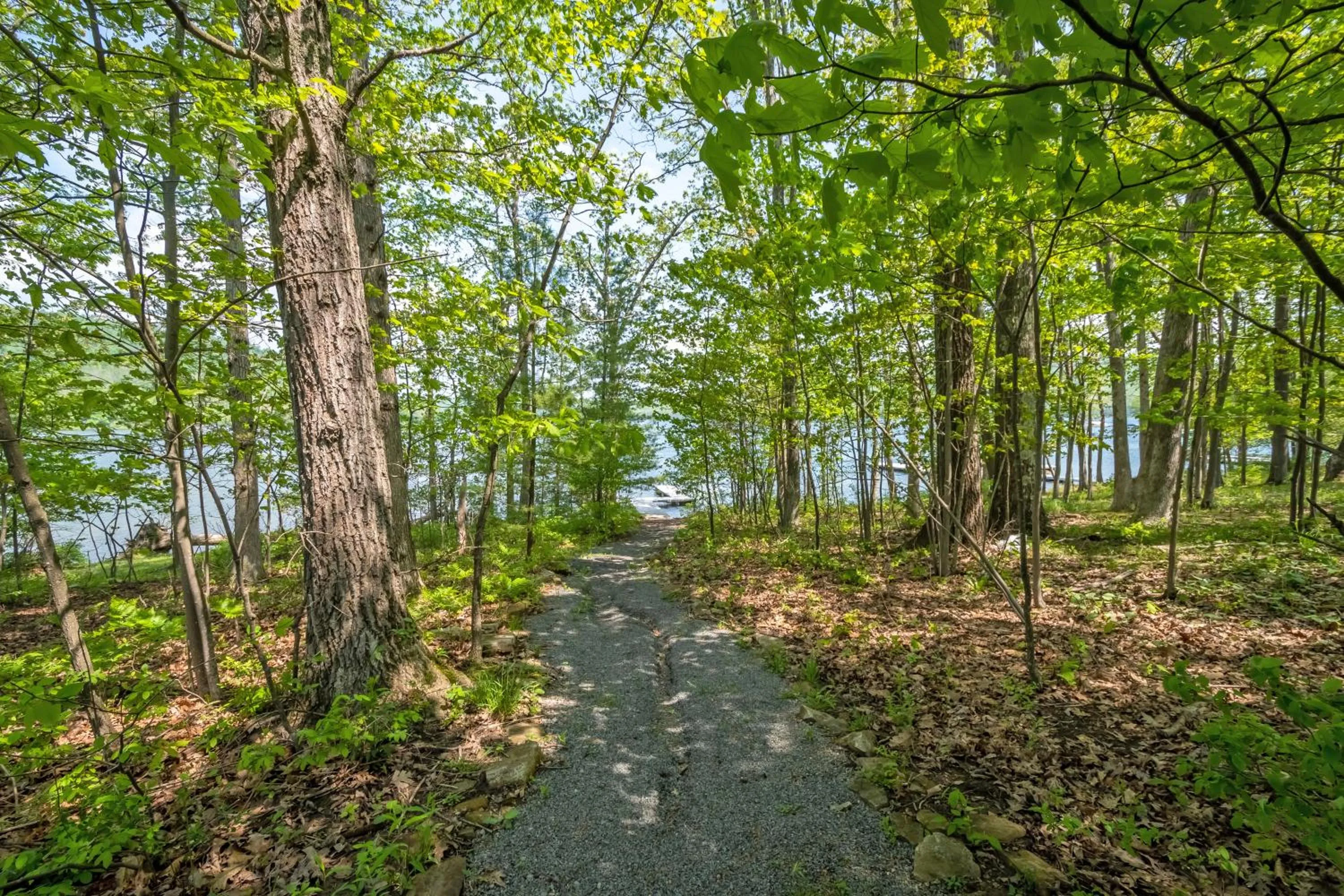 Property building in Leap Away