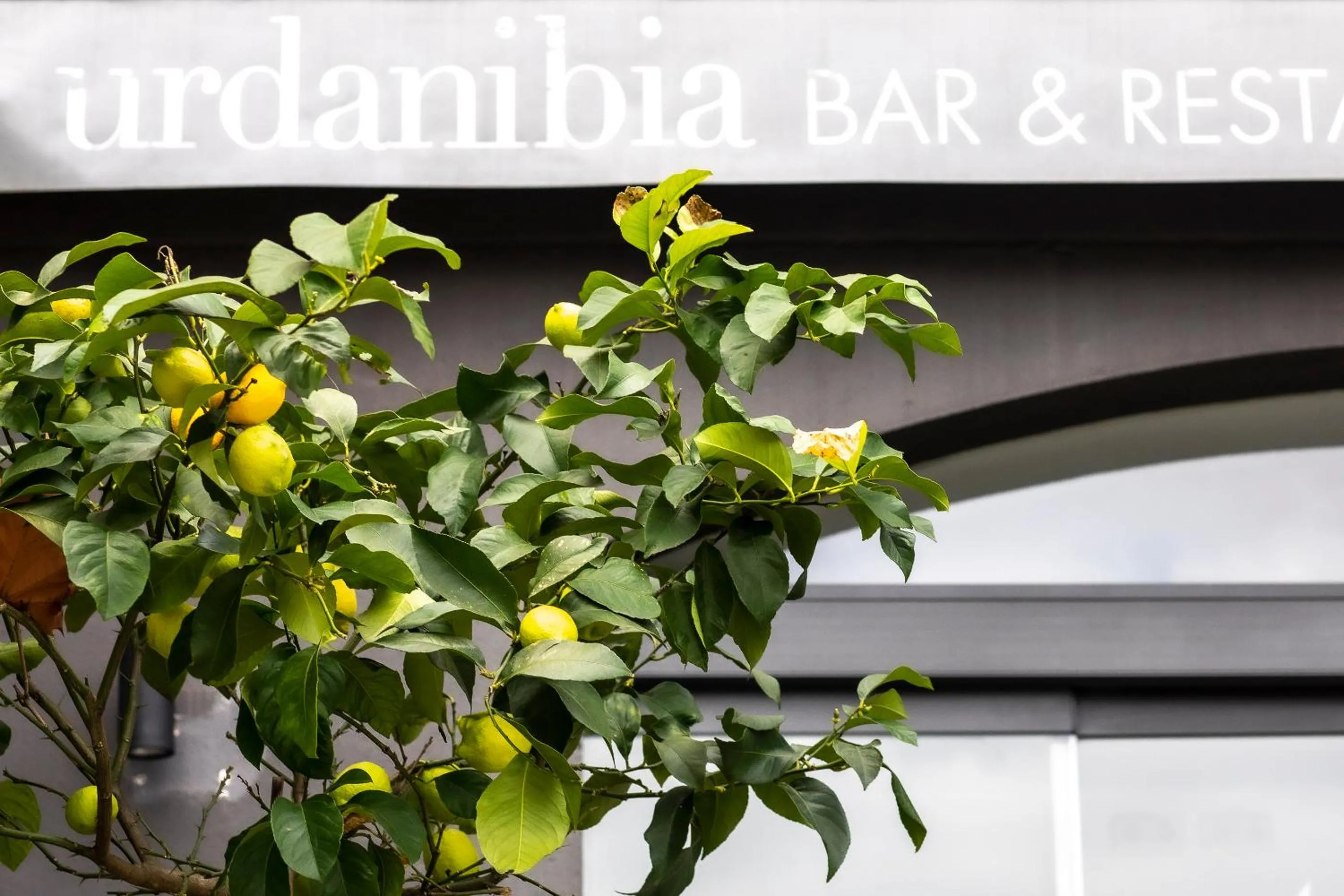 Summer in Hotel Urdanibia Park