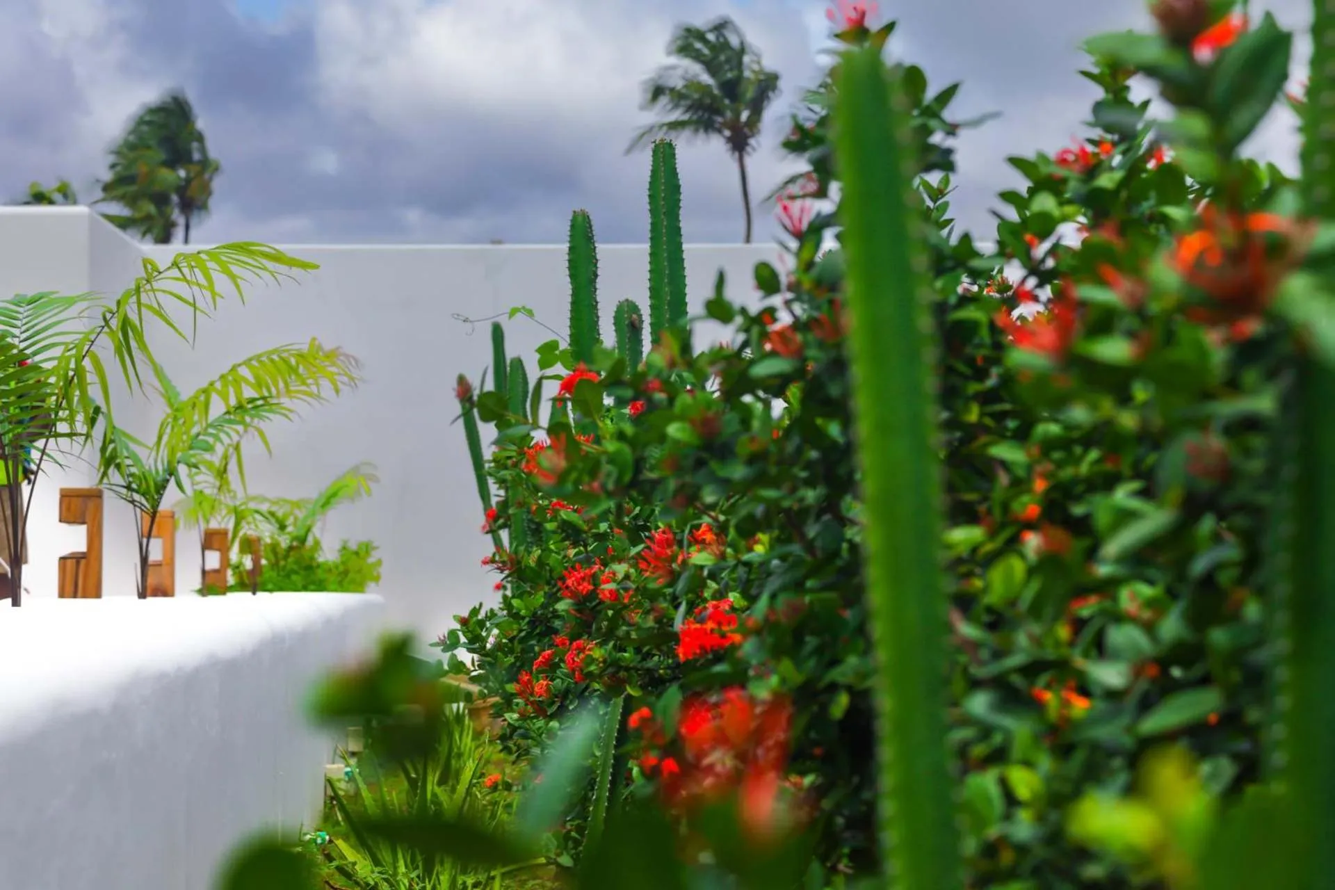 Garden in The Lead Hotel