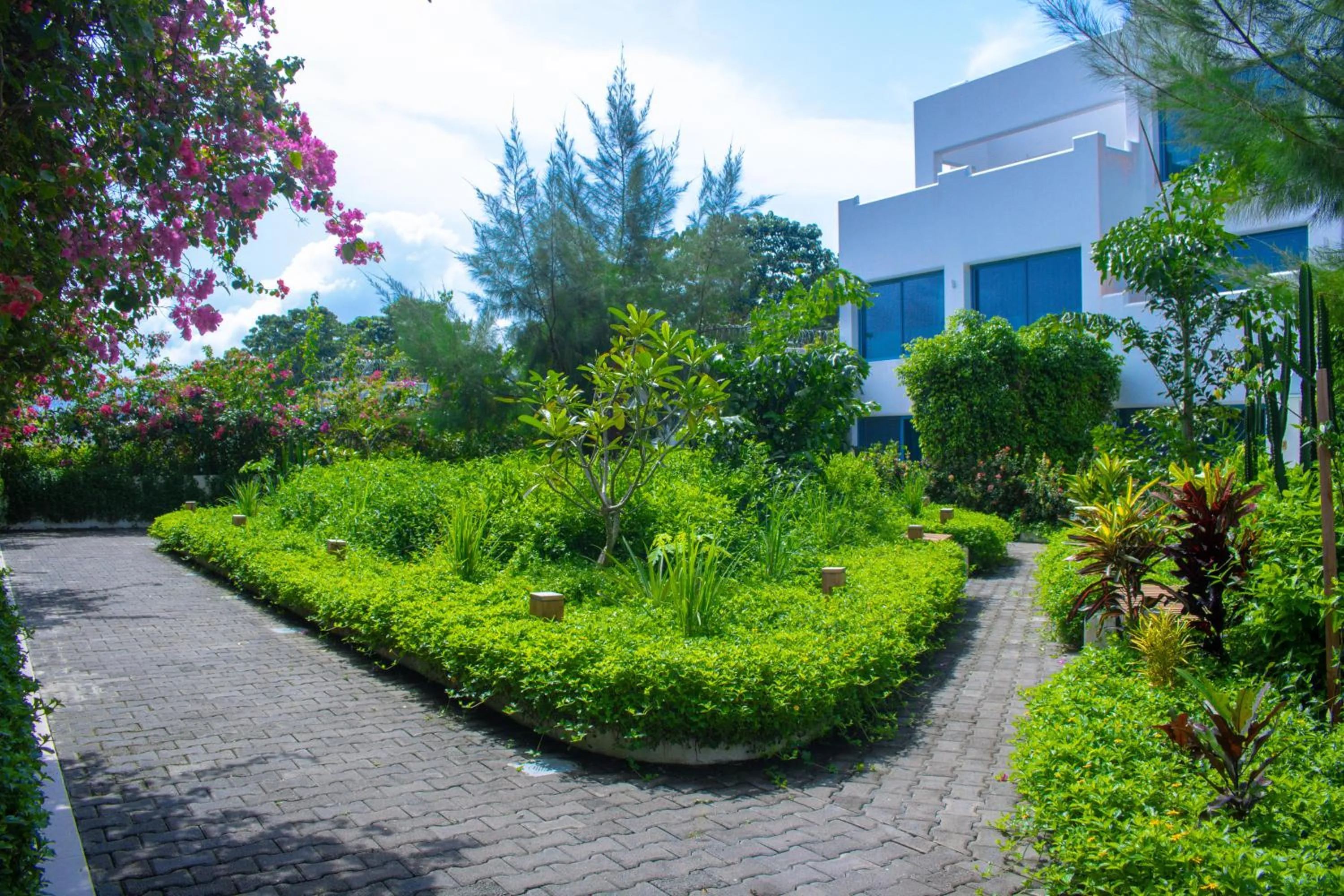 Property building in The Lead Hotel