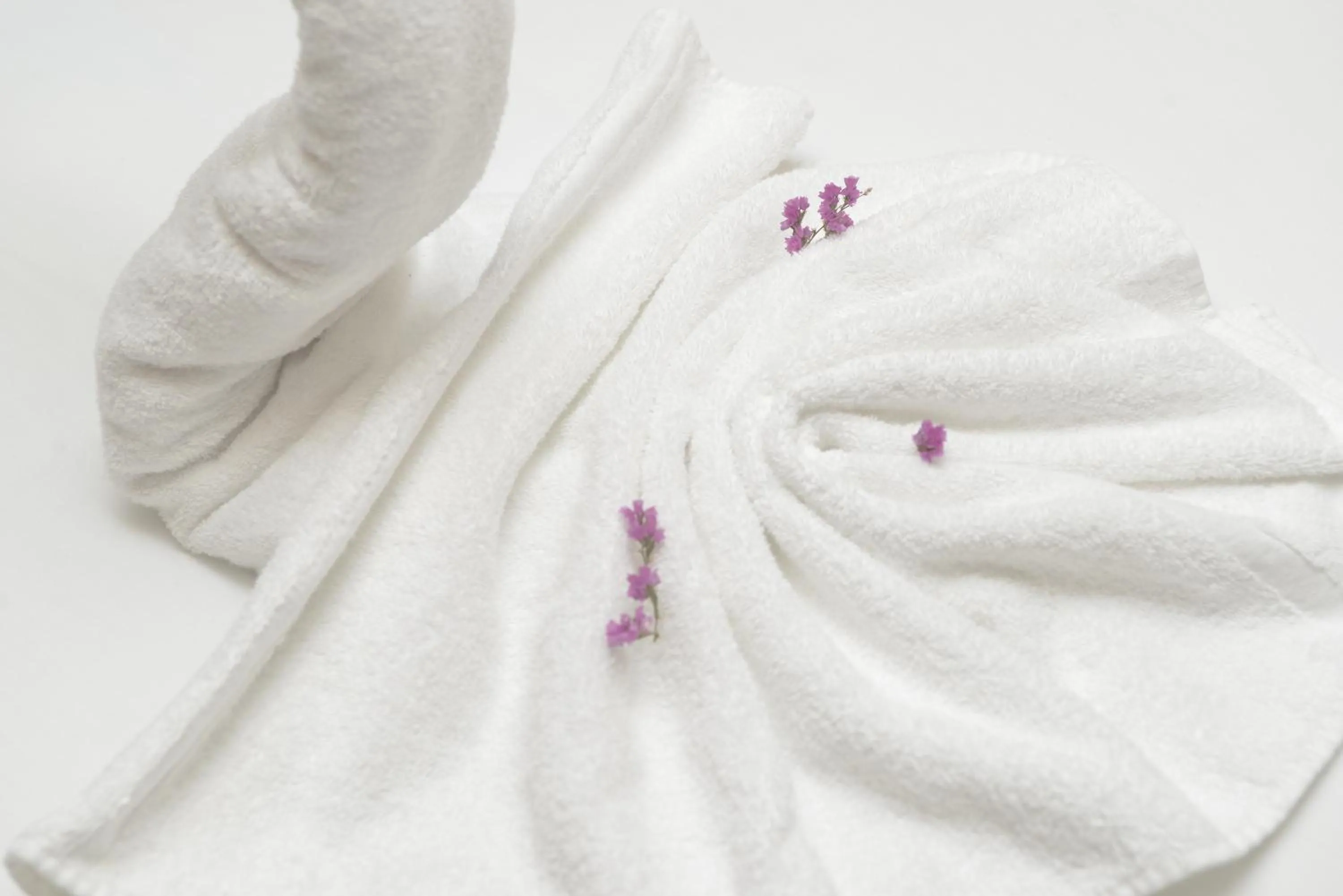 Hotel Gastronómico Casa Rosalia