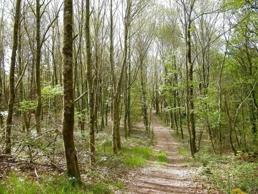 Hiking in Hotel Gastronómico Casa Rosalia