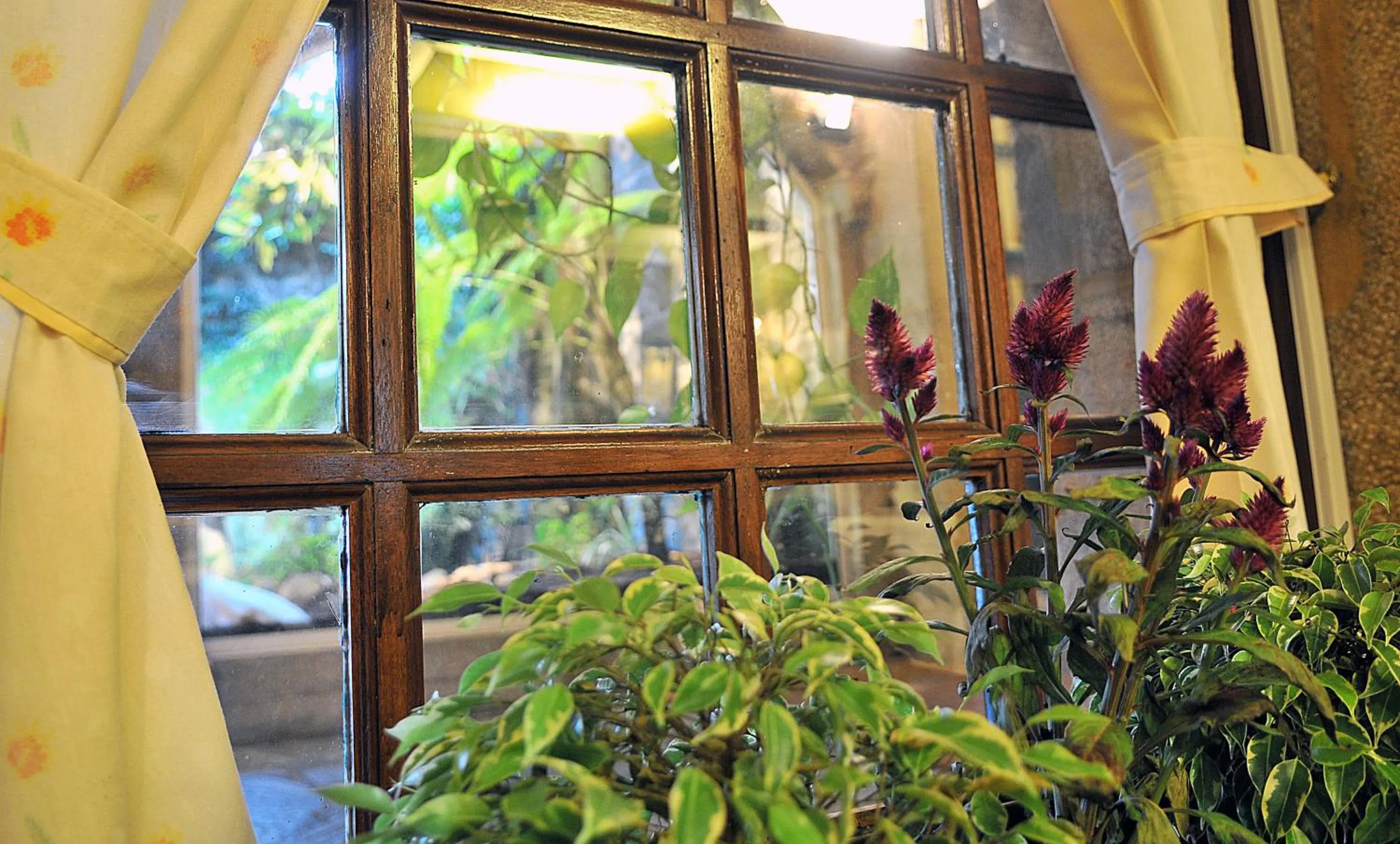 Dining area in Hotel Gastronómico Casa Rosalia